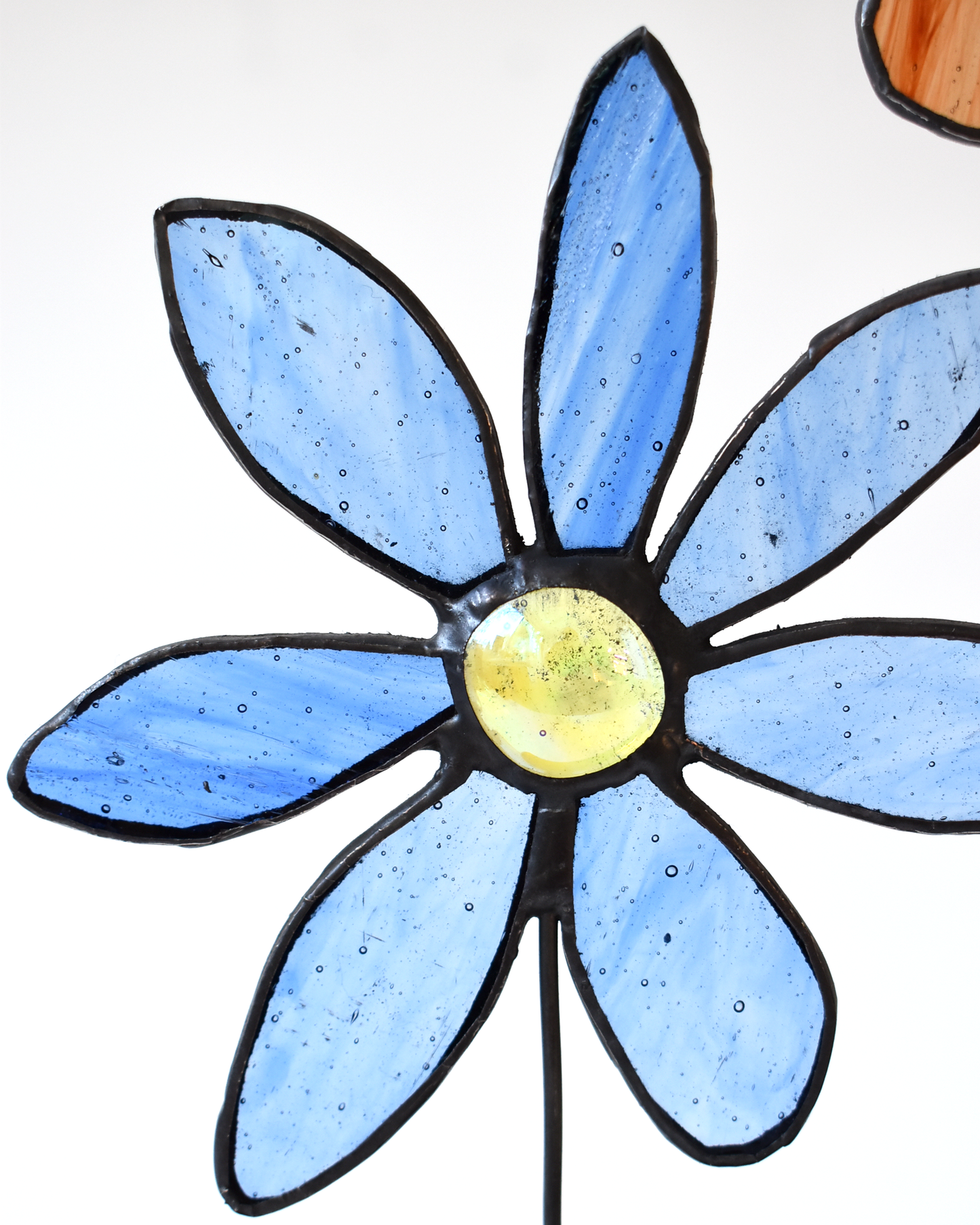 Spring Flowers