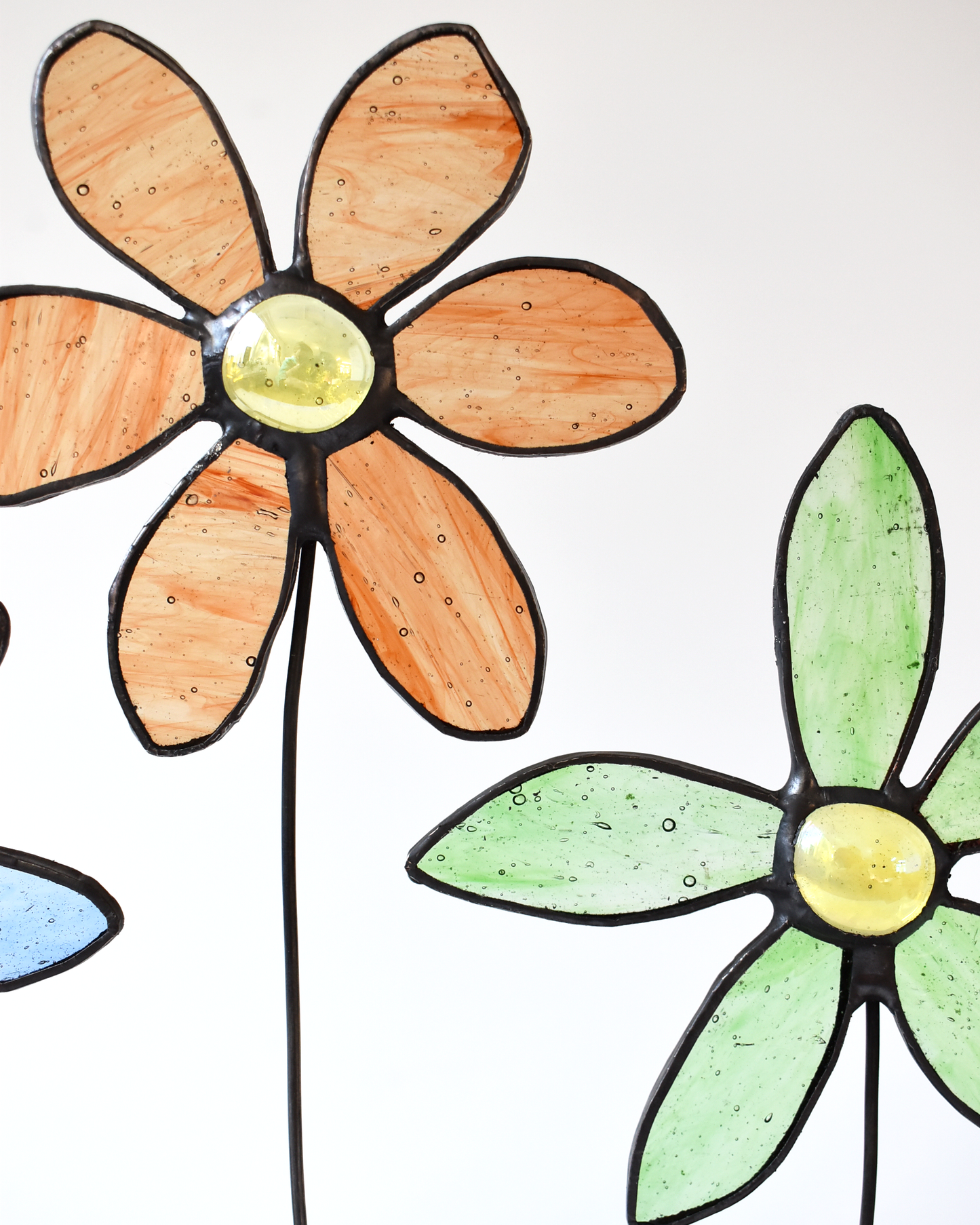 Spring Flowers