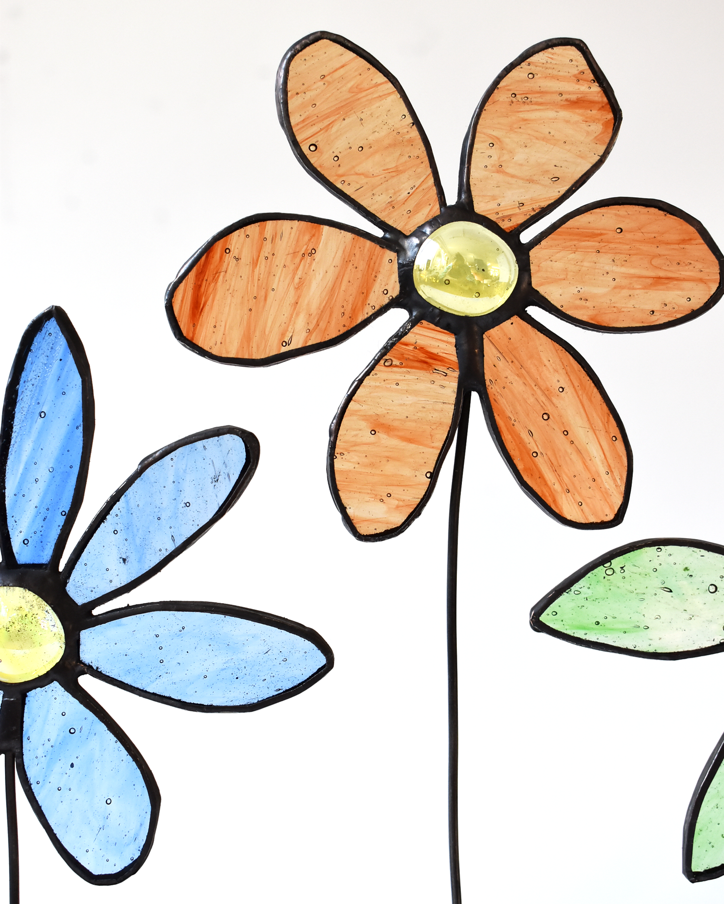 Spring Flowers