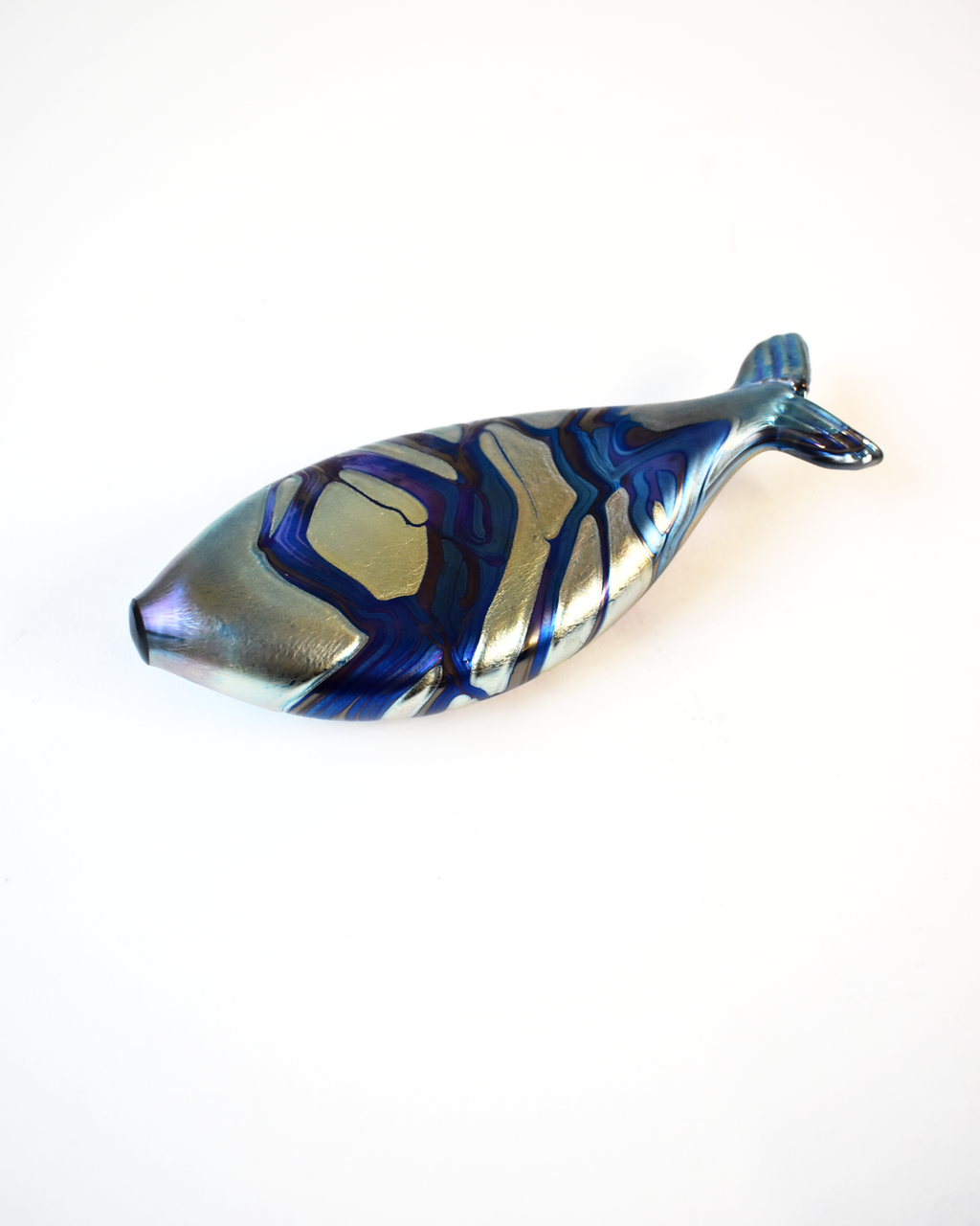 Blue Iridescent Spotted Glass Fish (M)
