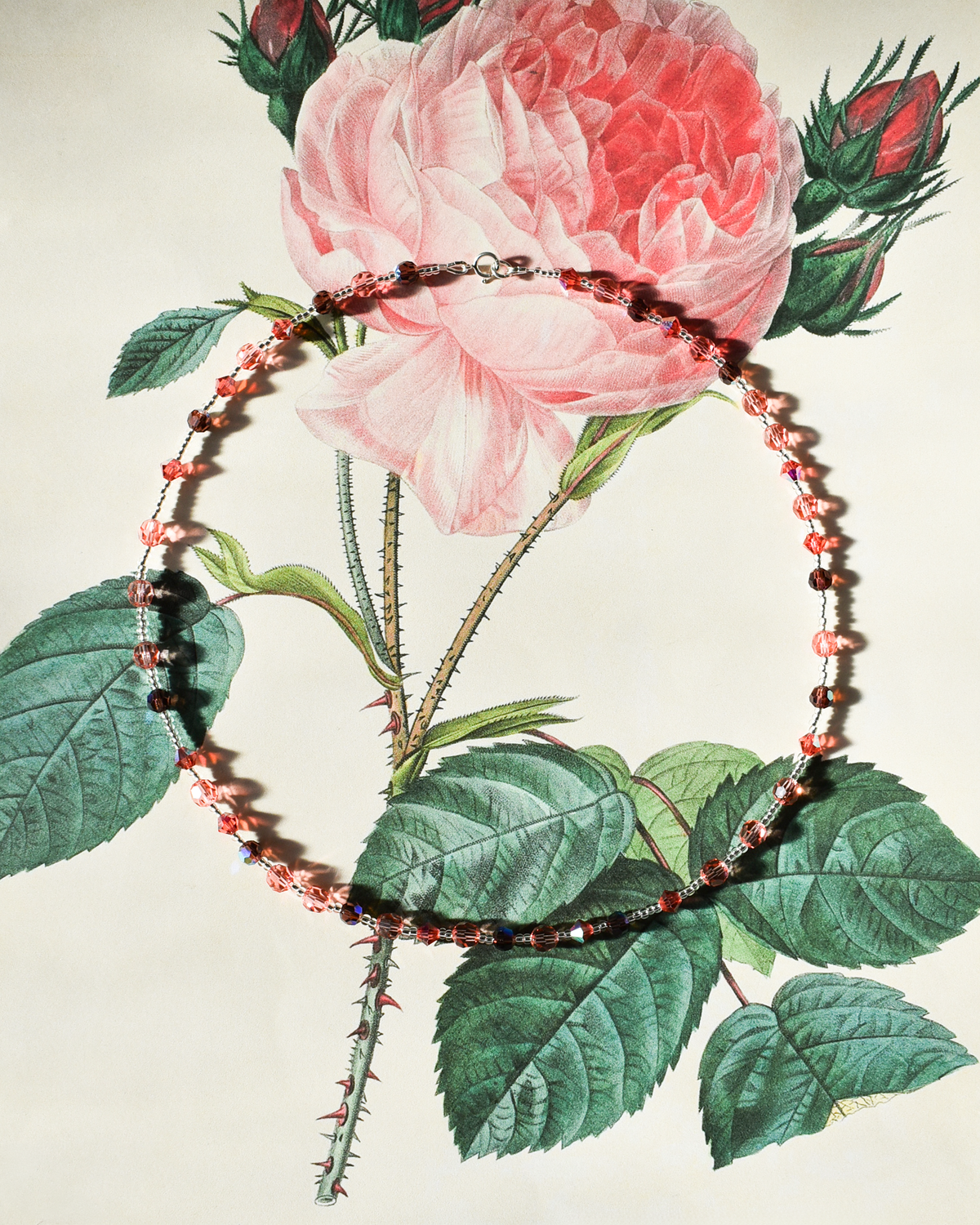 'Blush & Burgundy' Crystal Bead Necklace