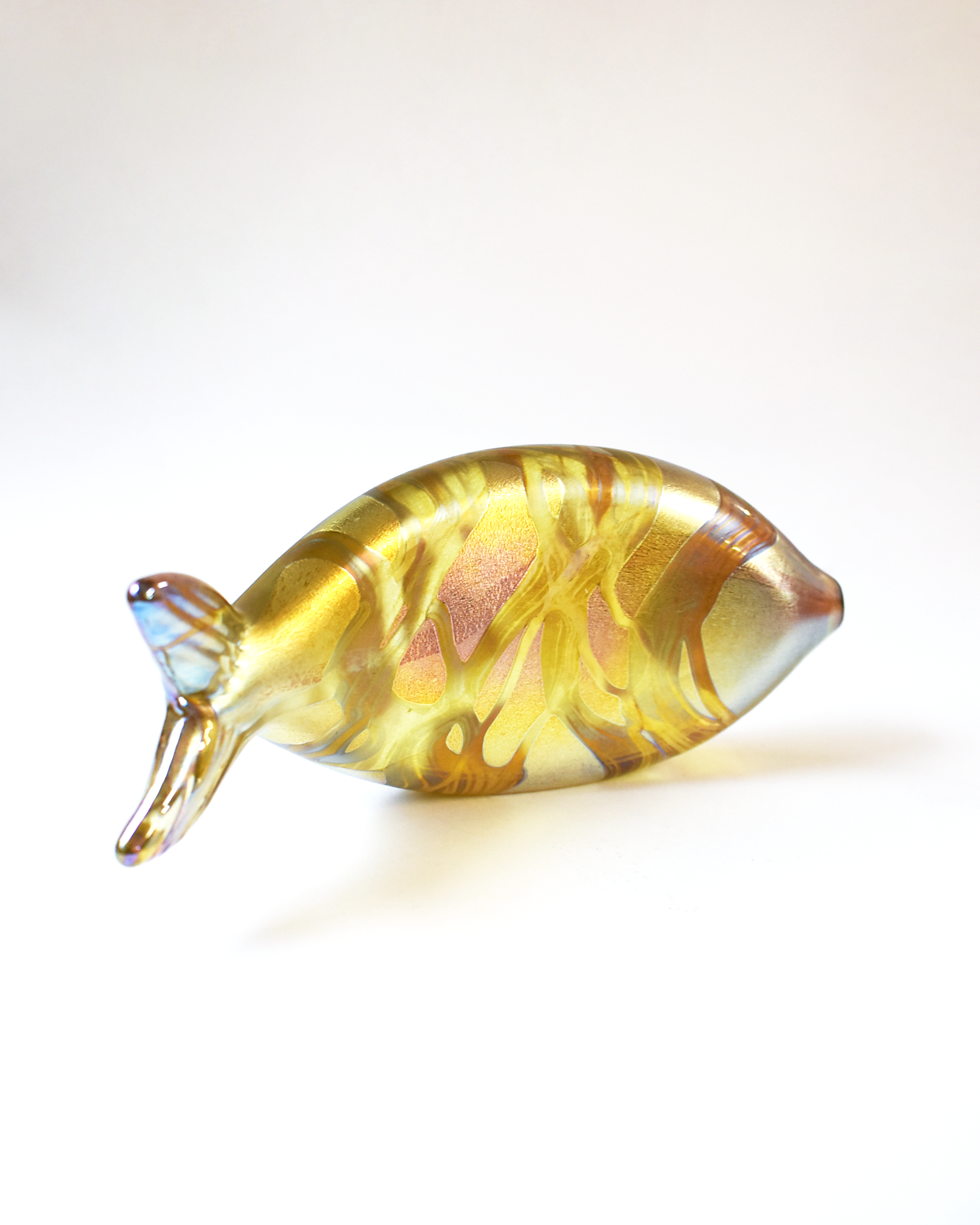 Gold Iridescent Spotted Glass Fish (L)