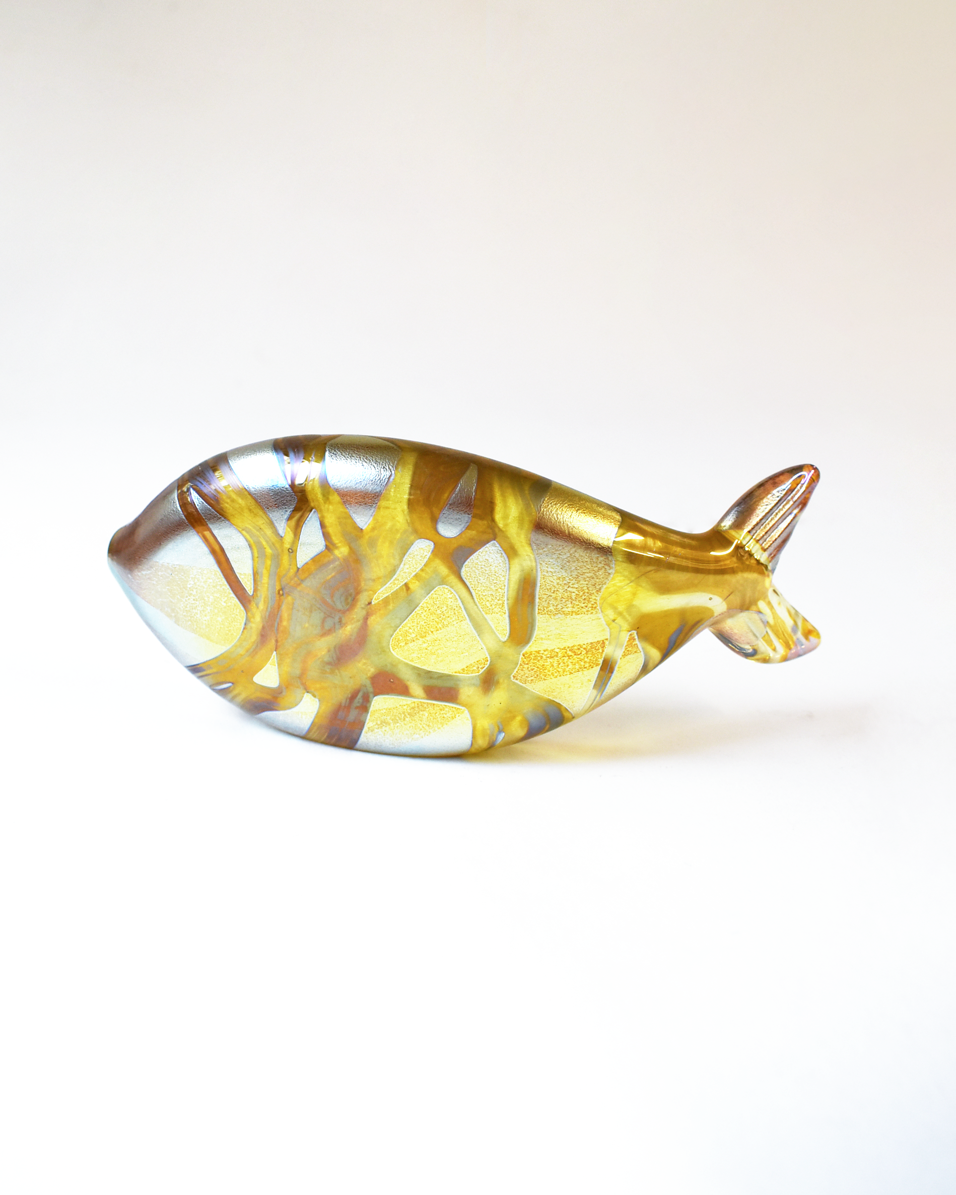 Gold Iridescent Spotted Glass Fish (L)