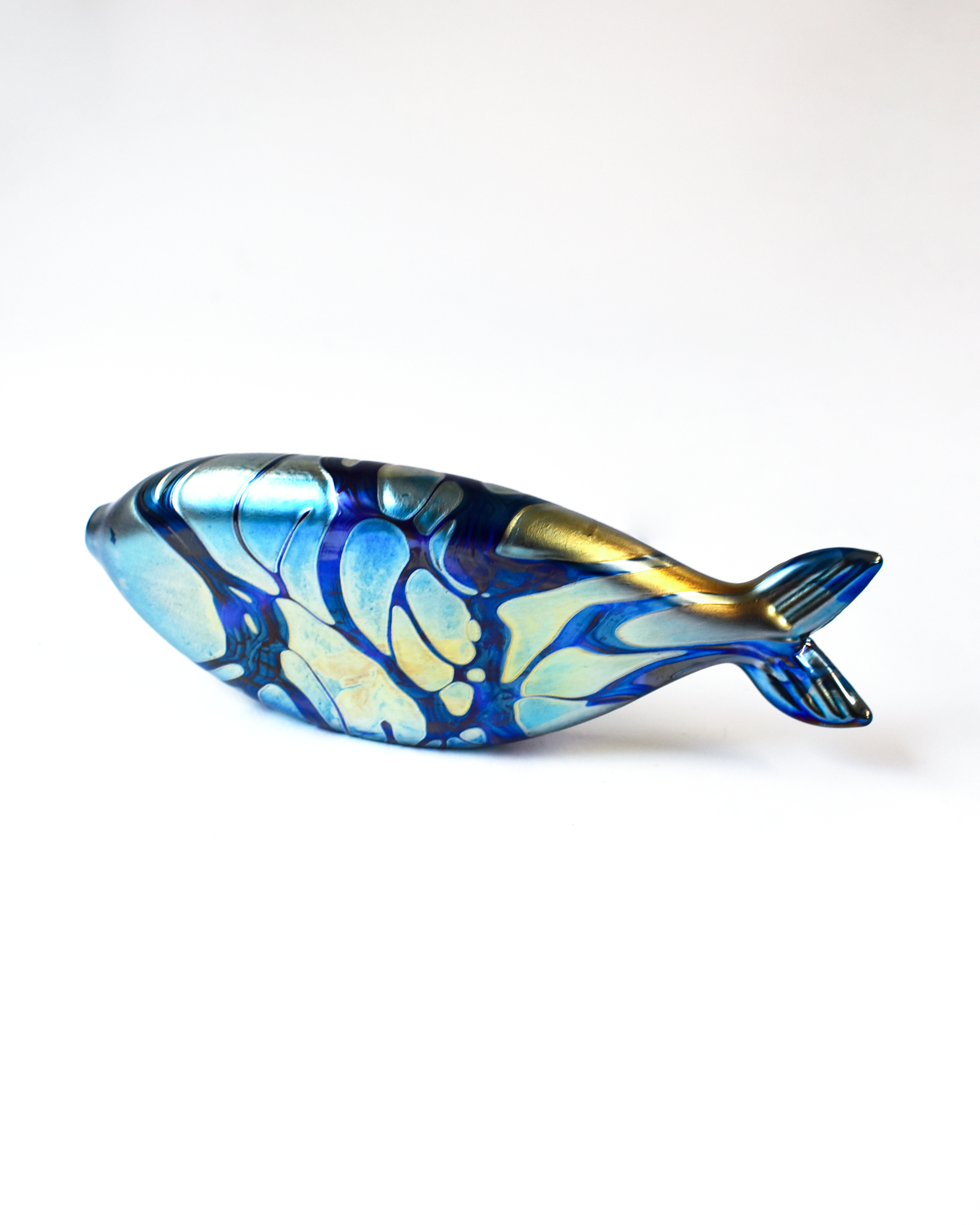 Blue Iridescent Spotted Glass Fish (L)
