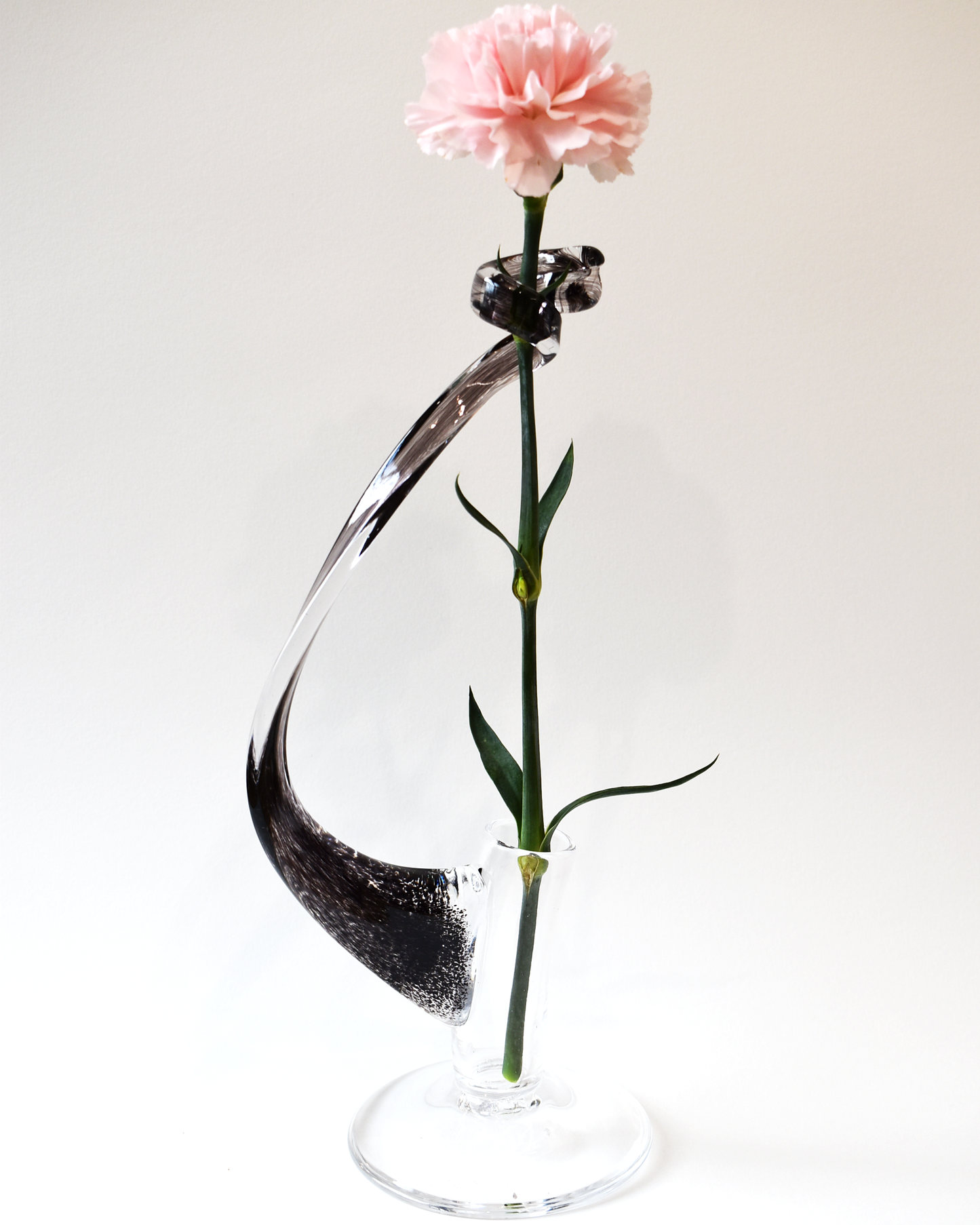 Single Stem Vase - Noir