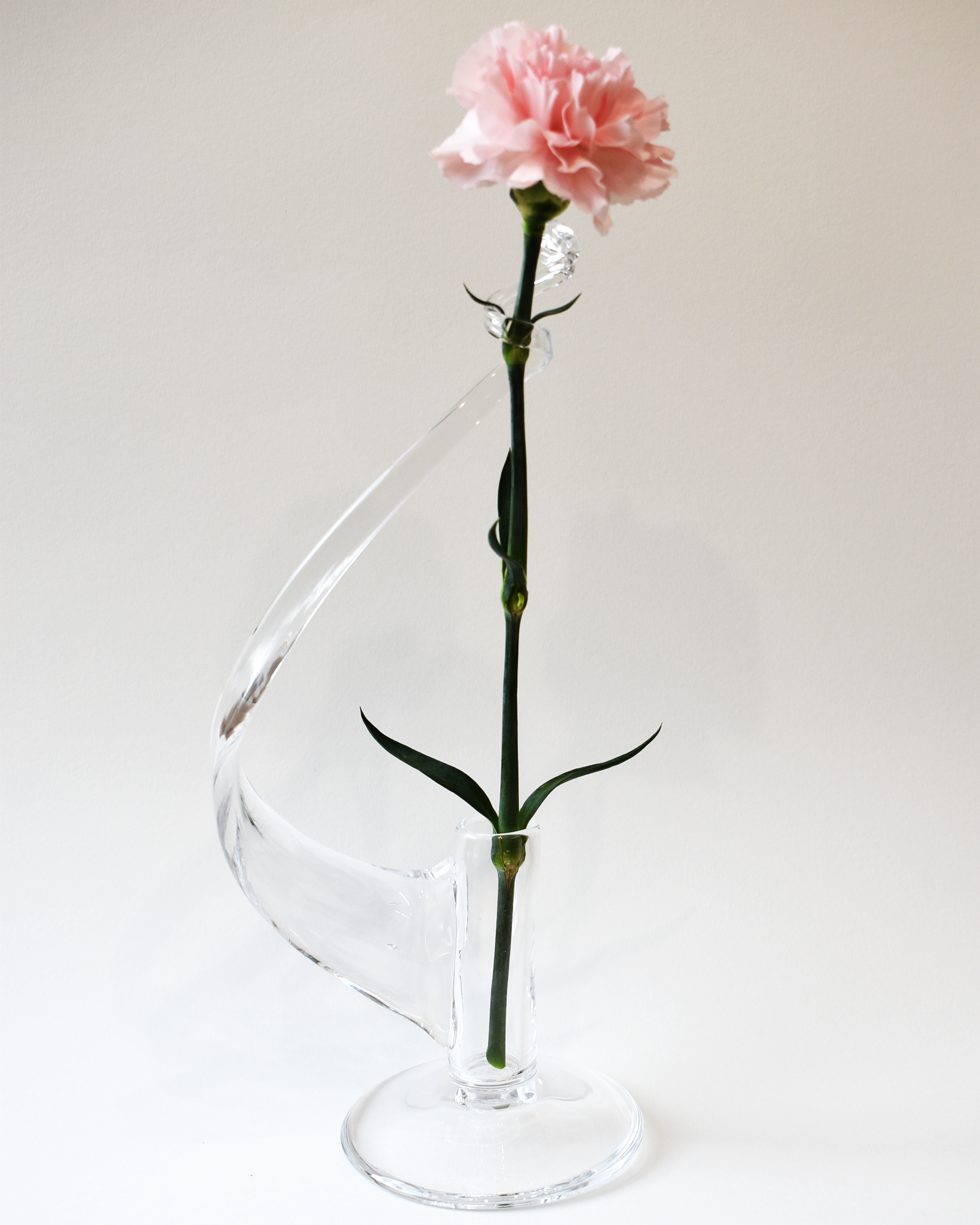Elegant Single Stem Handblown Clear Glass Vase