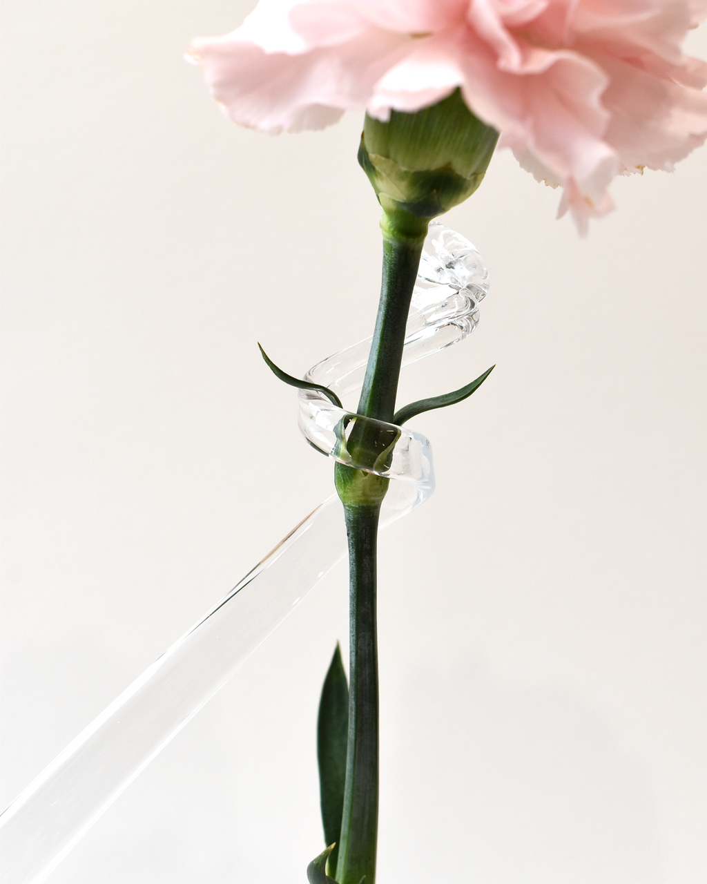 Elegant Single Stem Handblown Clear Glass Vase