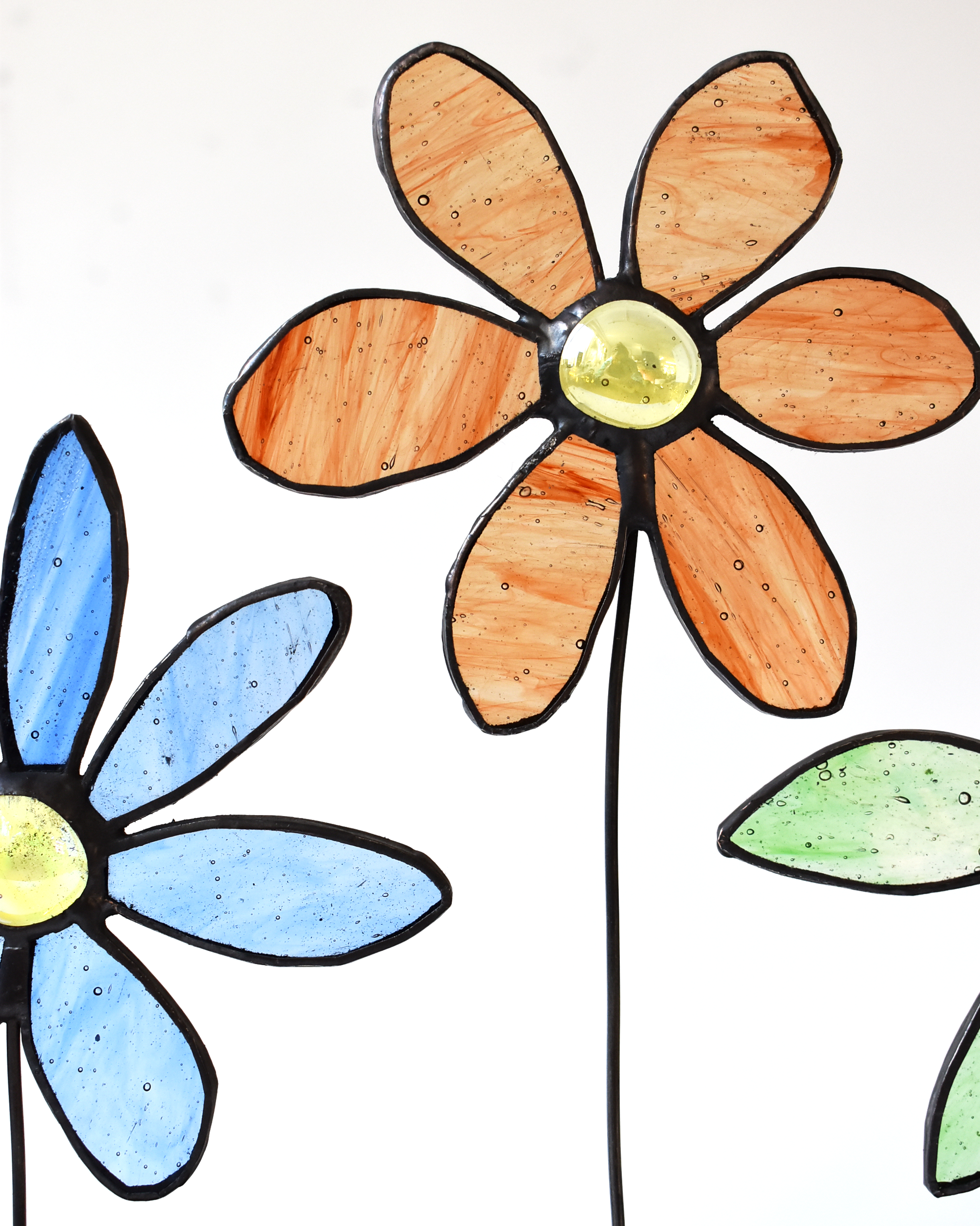 Spring Flowers