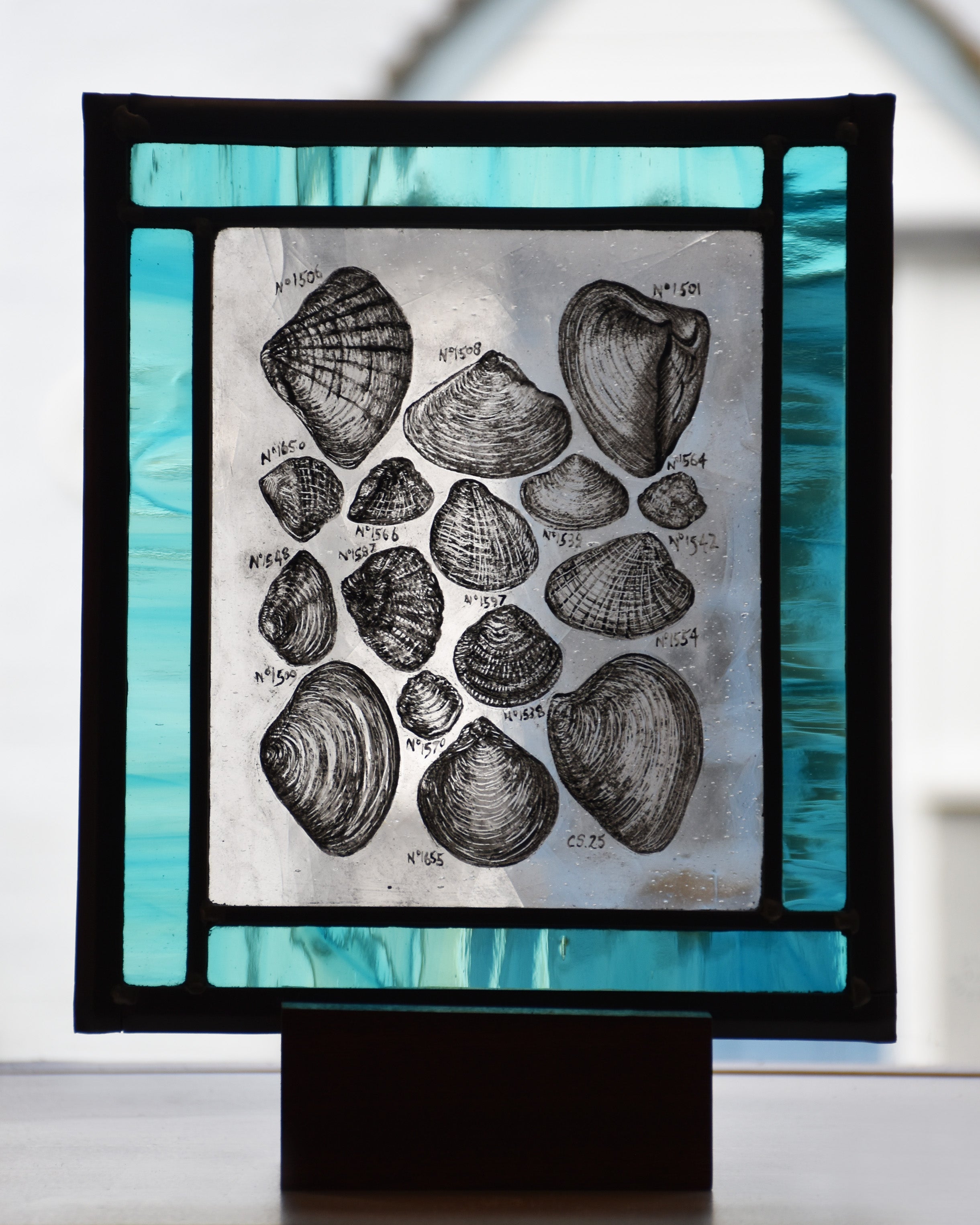 'Seashell Study' - Stained Glass Panel