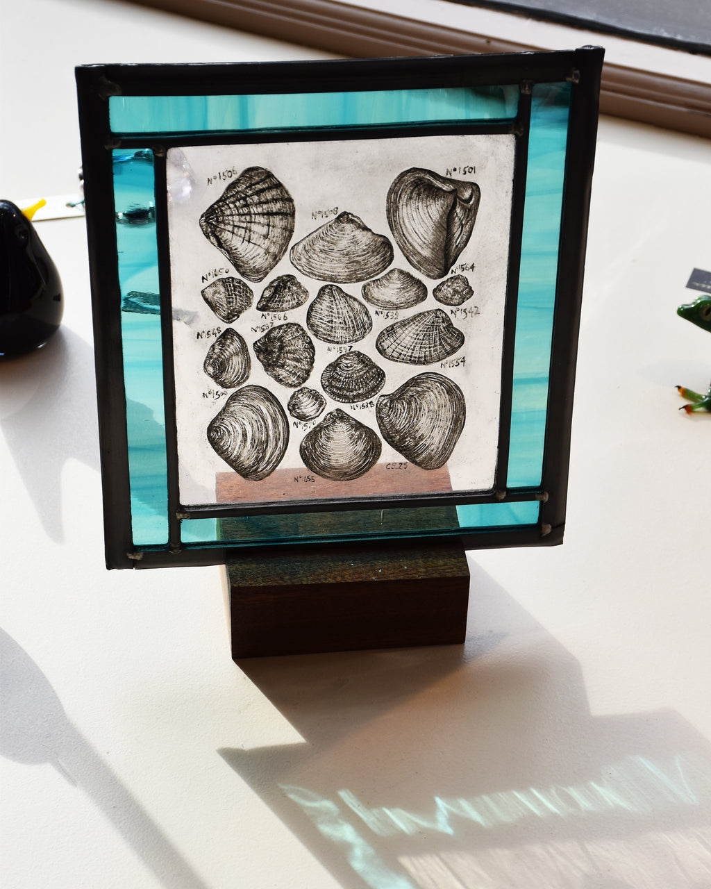 'Seashell Study' - Stained Glass Panel