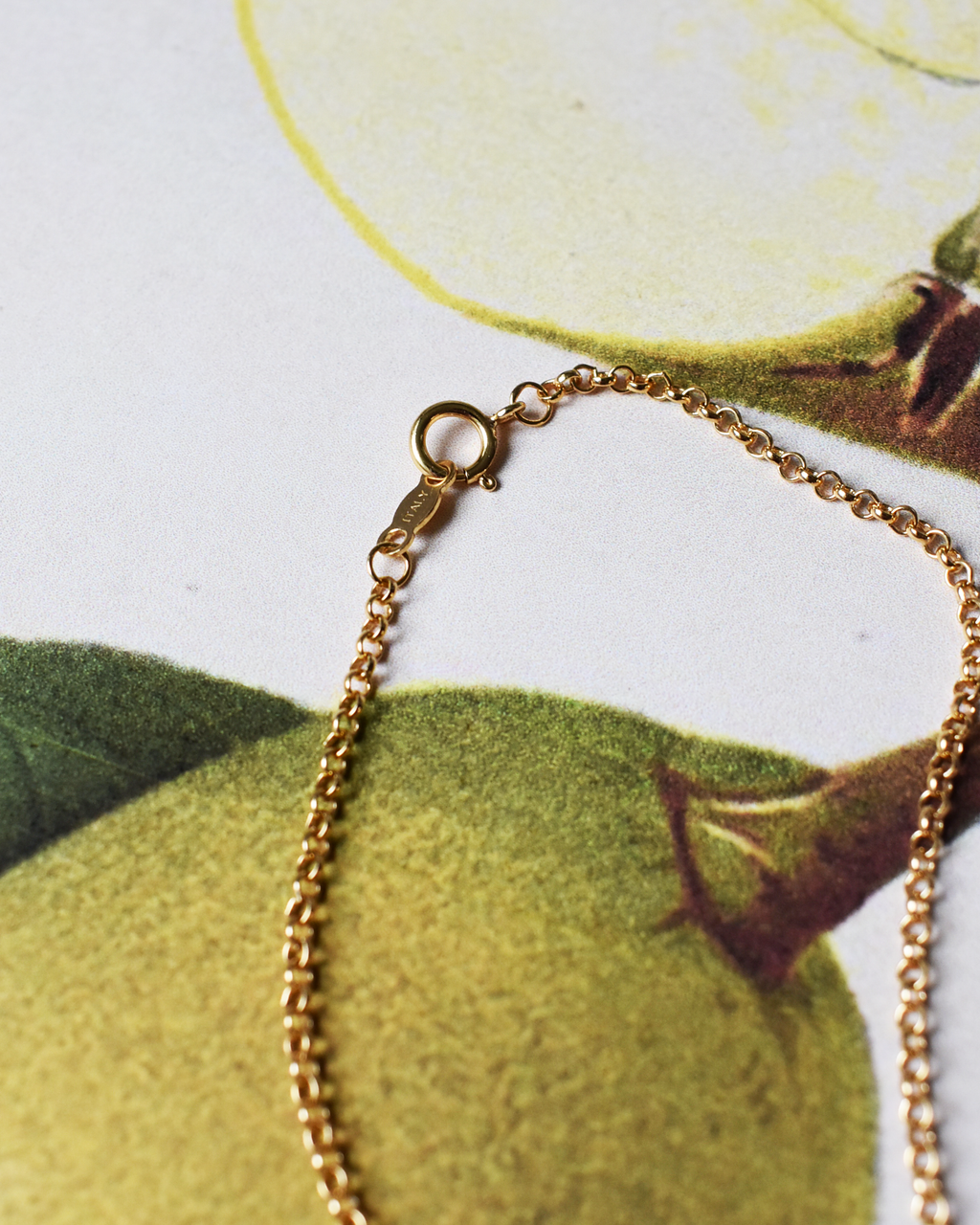 'Little Red Apple' Necklace