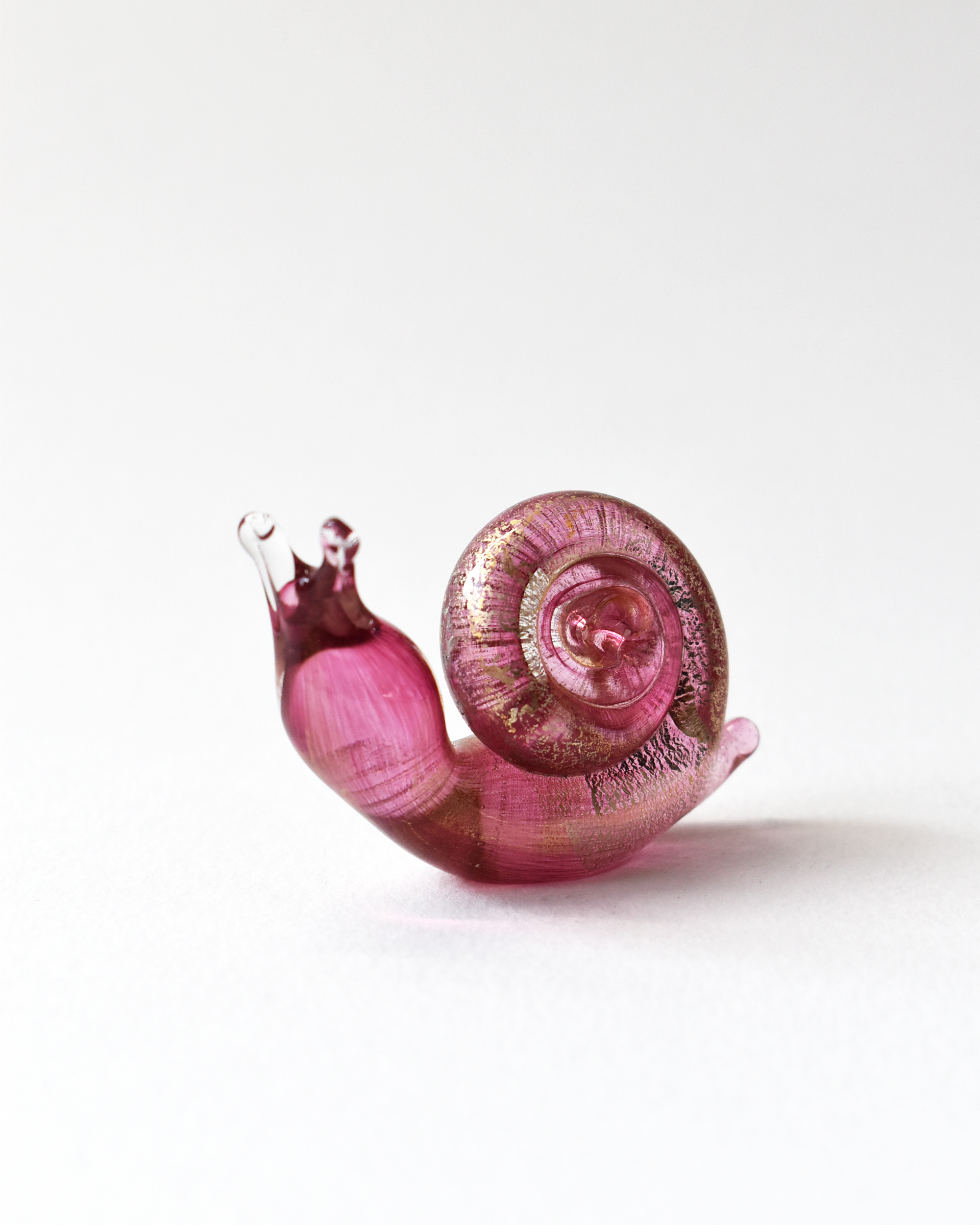 Cranberry Gold Leaf Snail