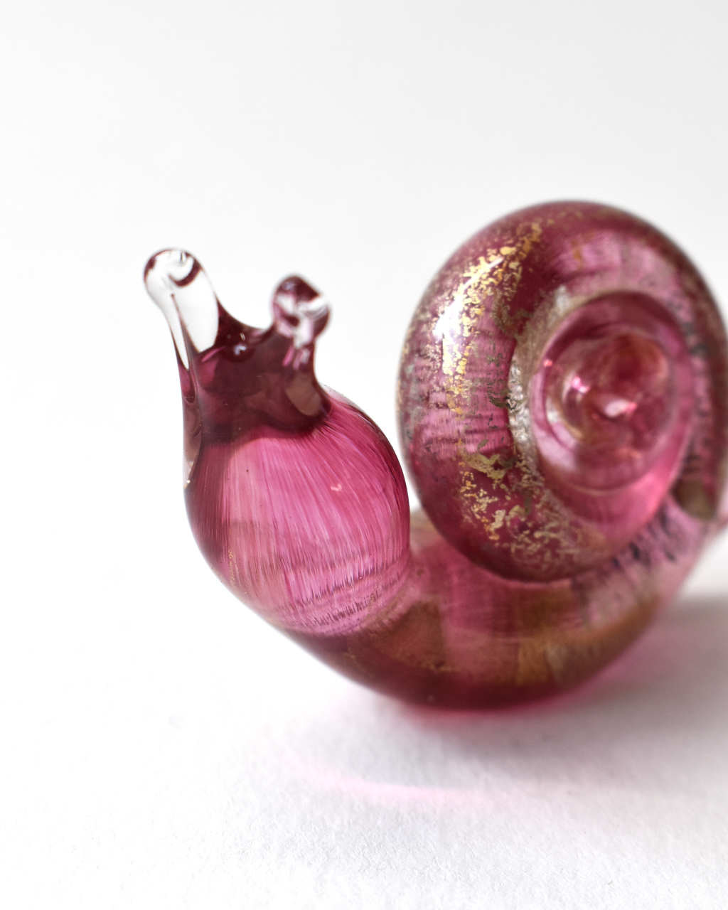 Cranberry Gold Leaf Snail
