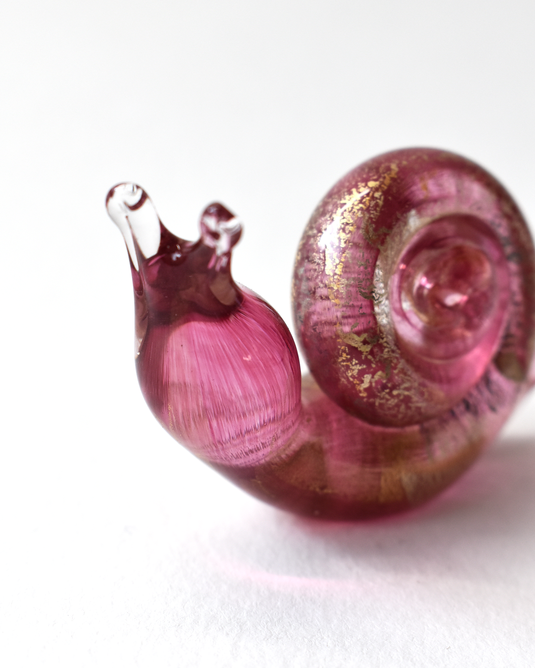 Cranberry Gold Leaf Snail