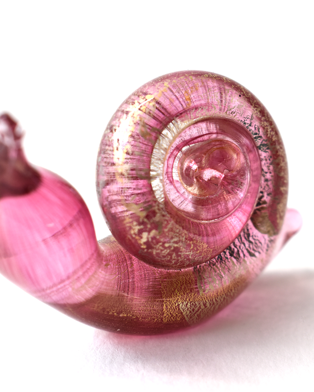 Cranberry Gold Leaf Snail