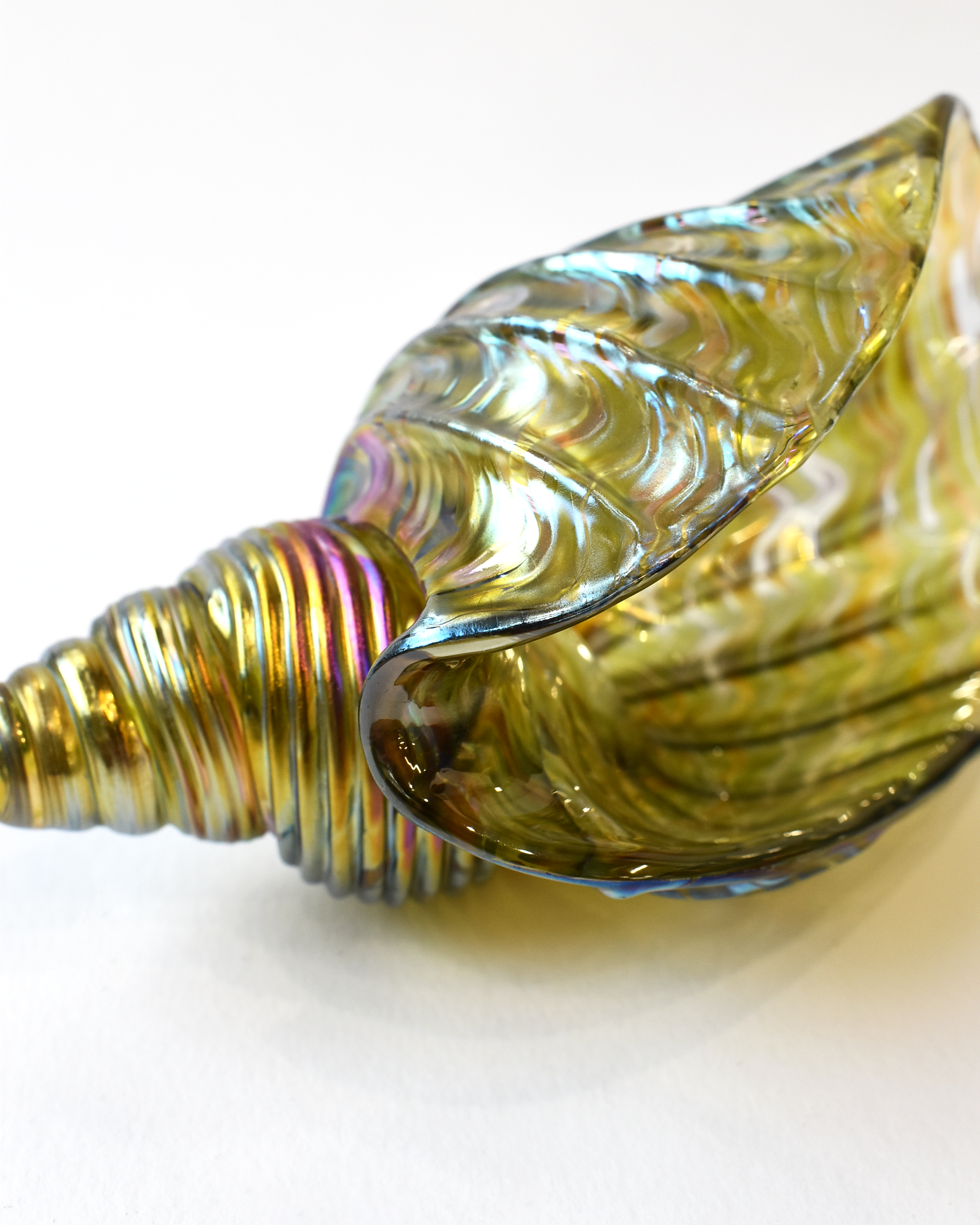 Lime Featherspray Glass Shell (L)