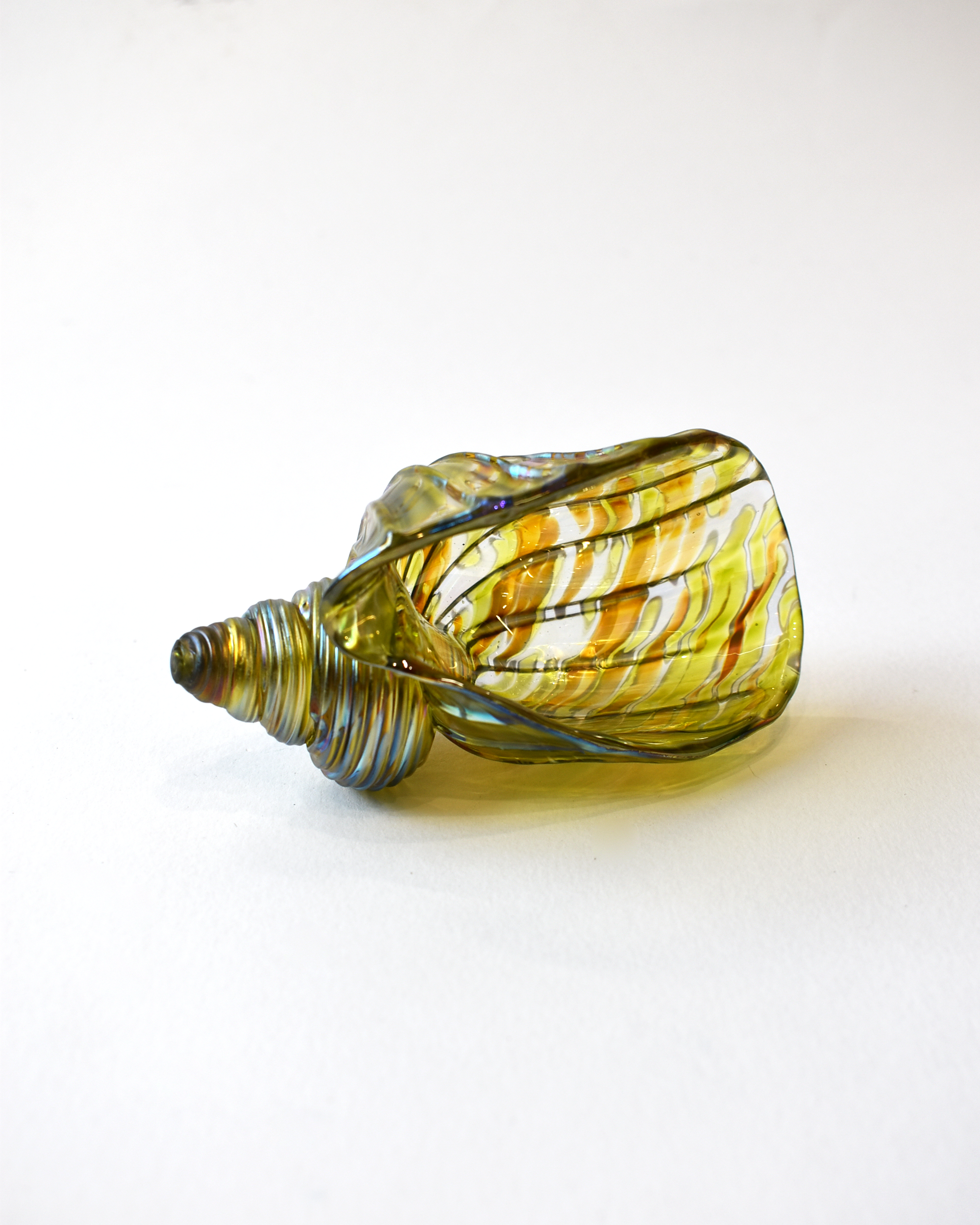 Lime Featherspray Glass Shell (S)
