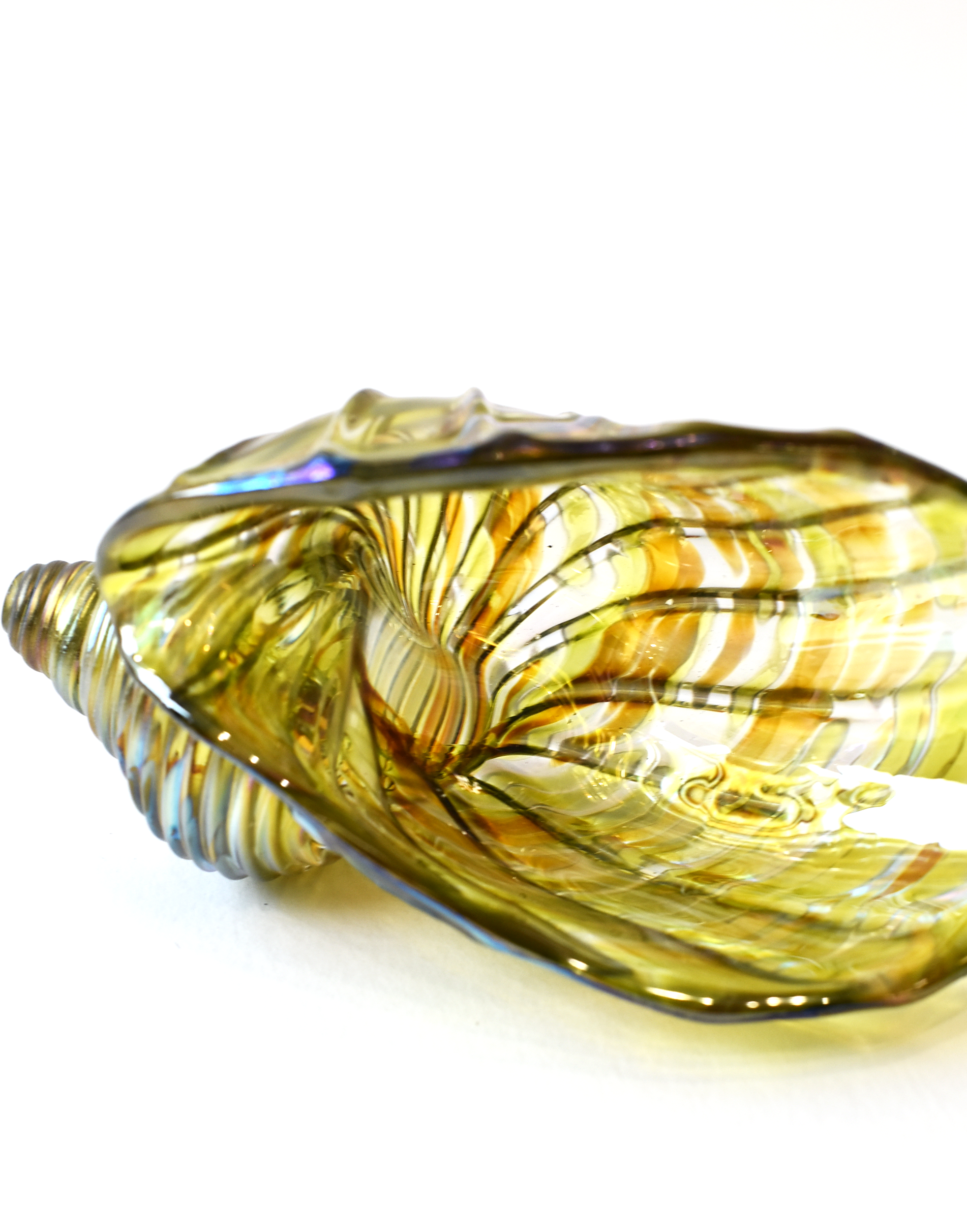 Lime Featherspray Glass Shell (S)