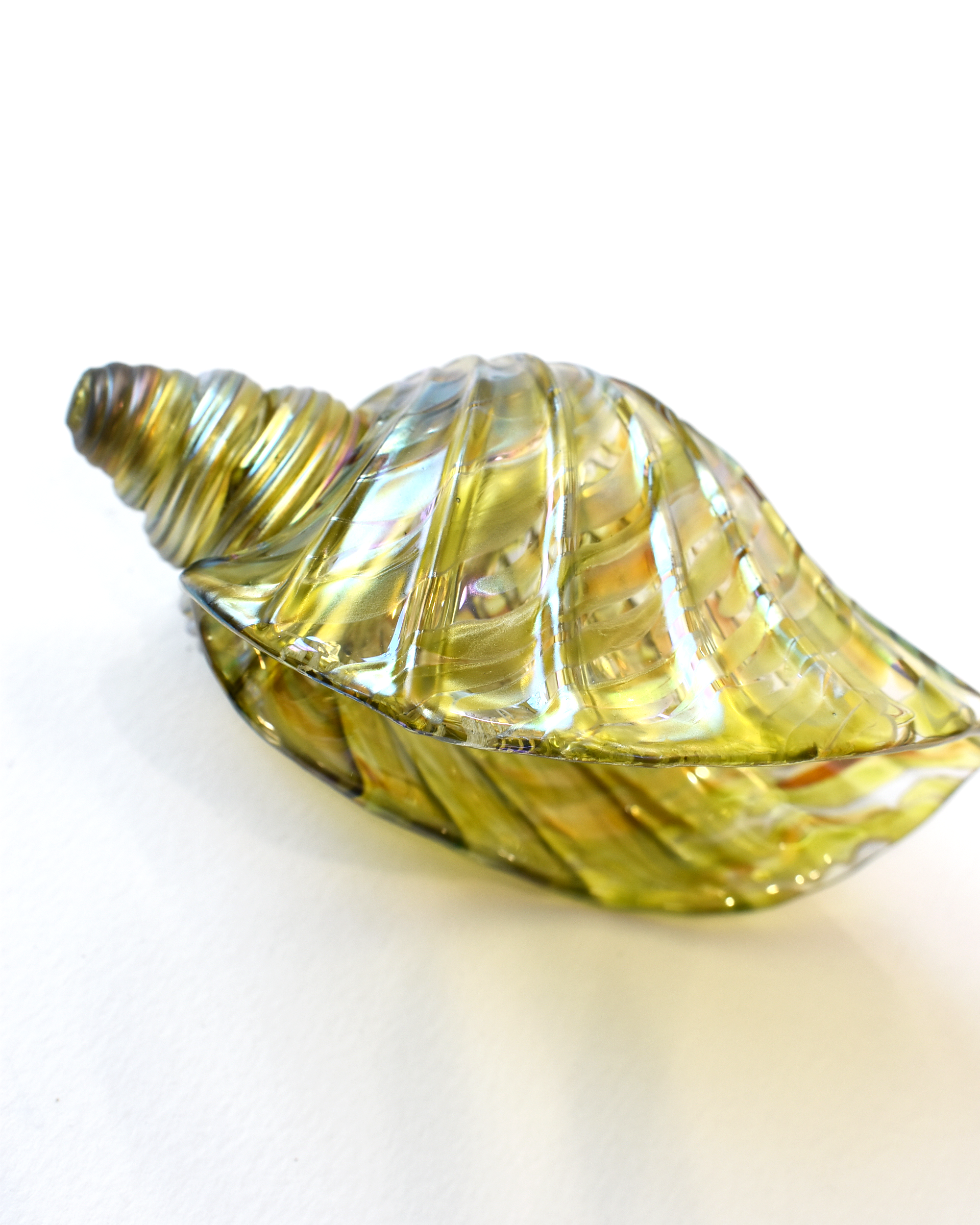 Lime Featherspray Glass Shell (S)