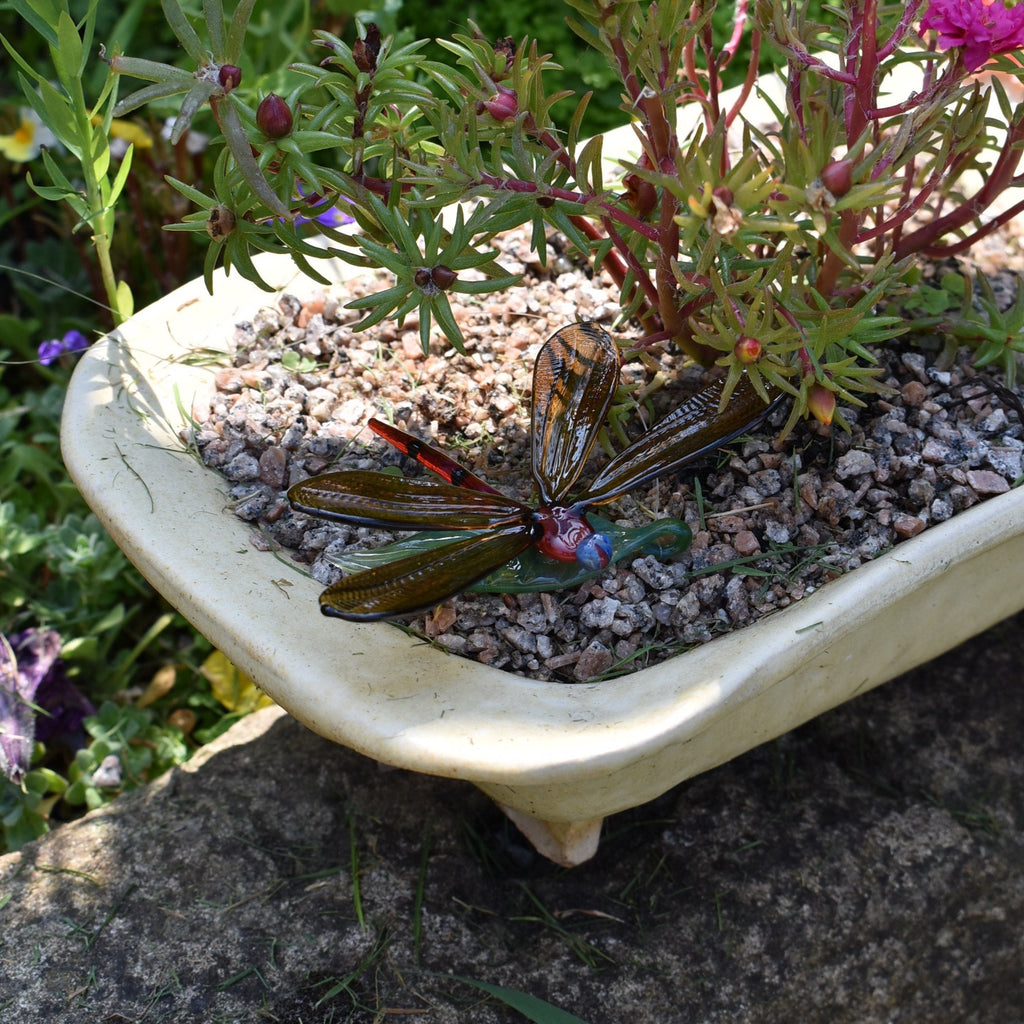 Dragonfly on a Leaf - Corley Studio Shop