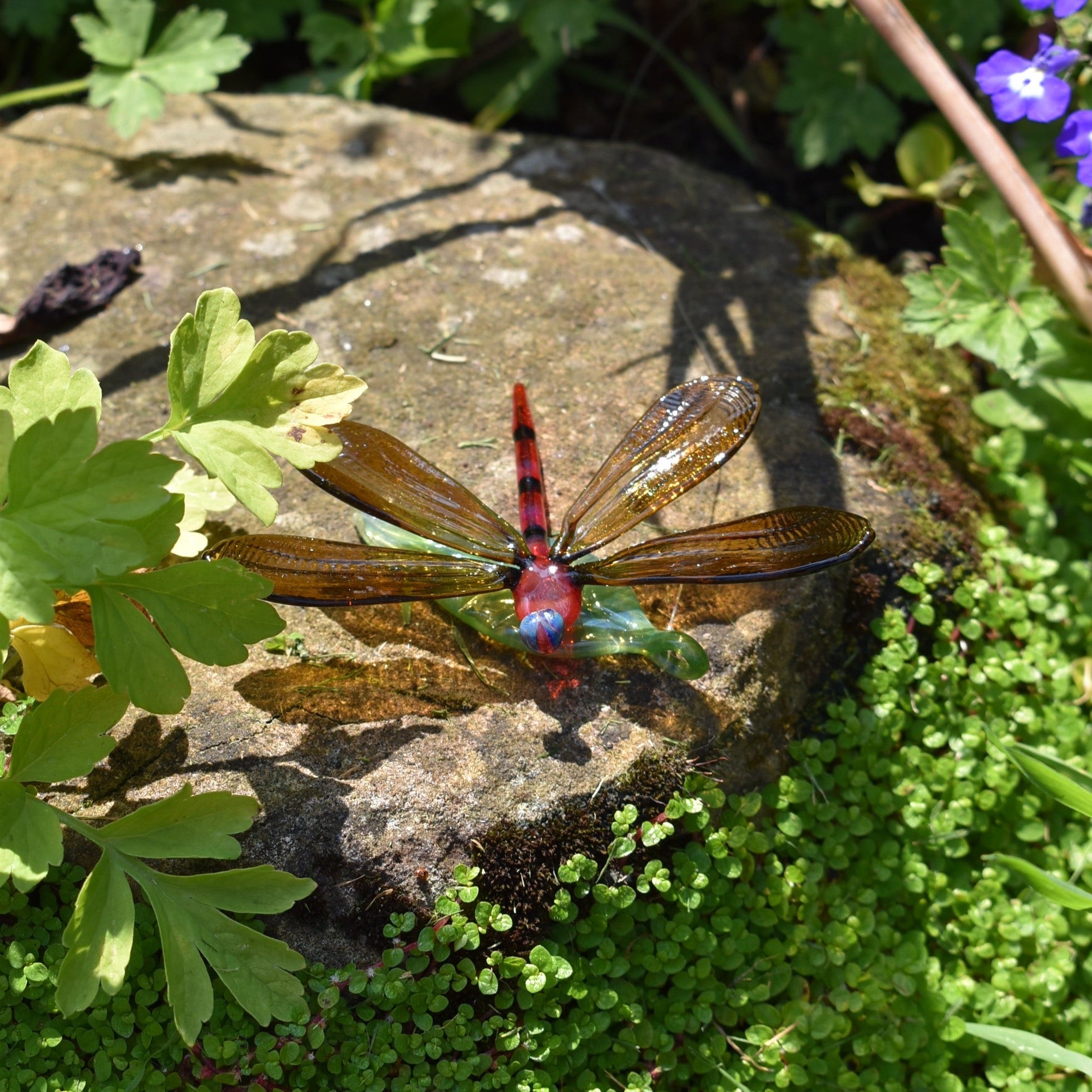Dragonfly on a Leaf - Corley Studio Shop