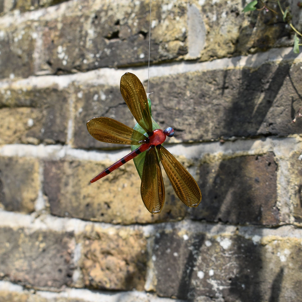 Dragonfly on a Leaf - Corley Studio Shop