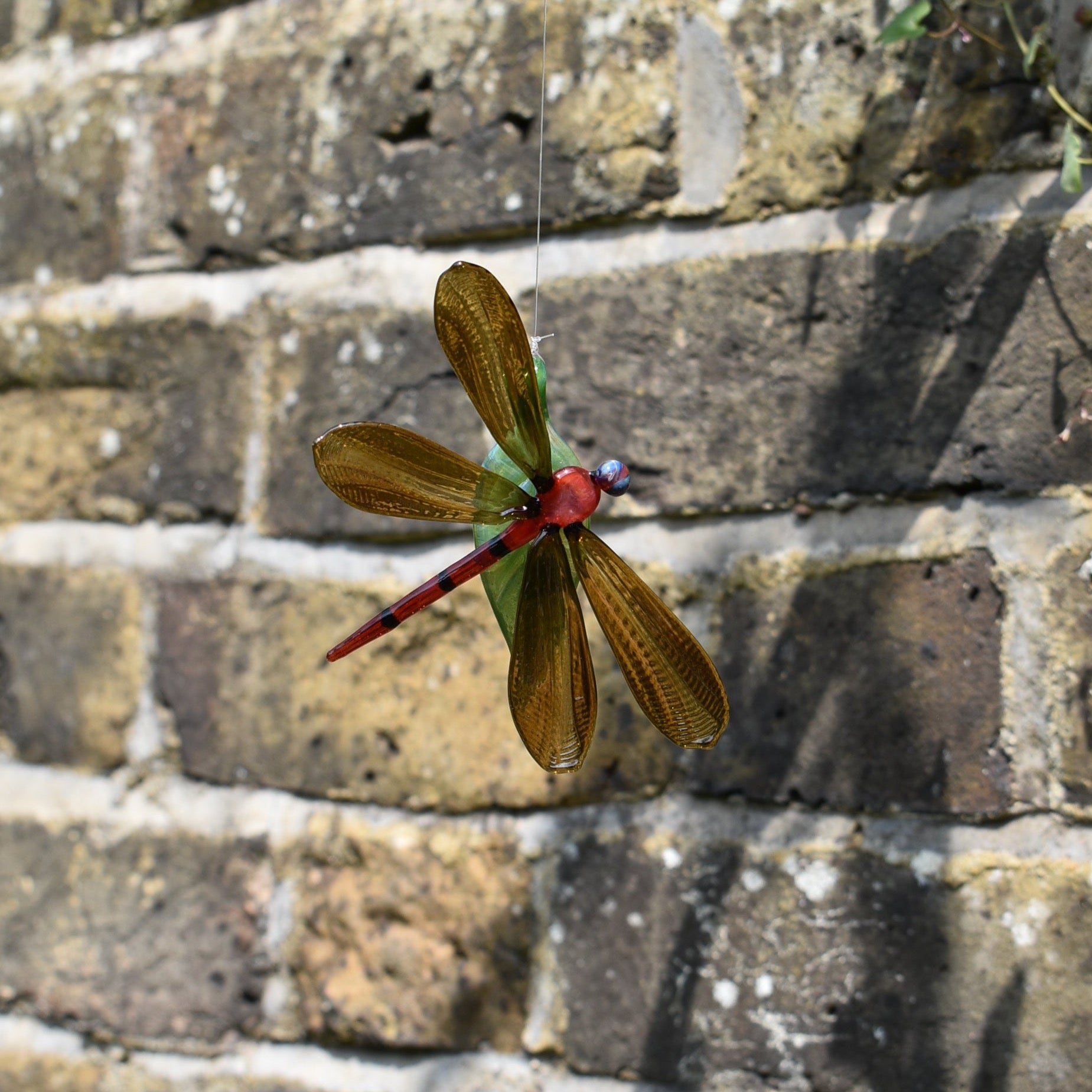 Dragonfly on a Leaf - Corley Studio Shop