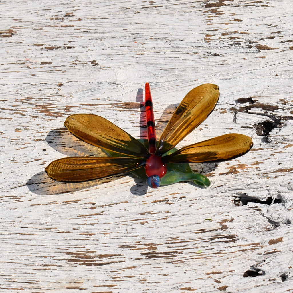 Dragonfly on a Leaf - Corley Studio Shop