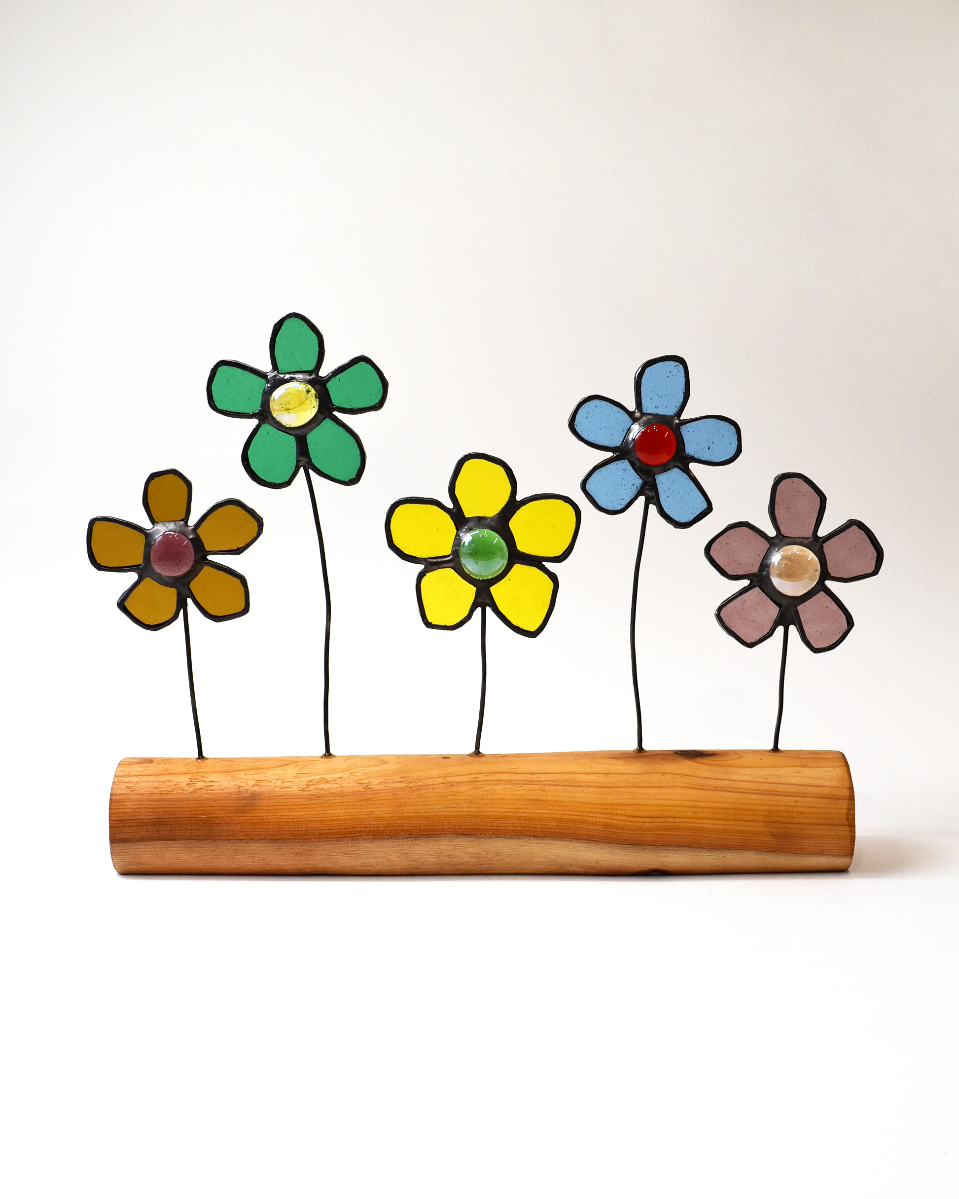 Colourful Daisies