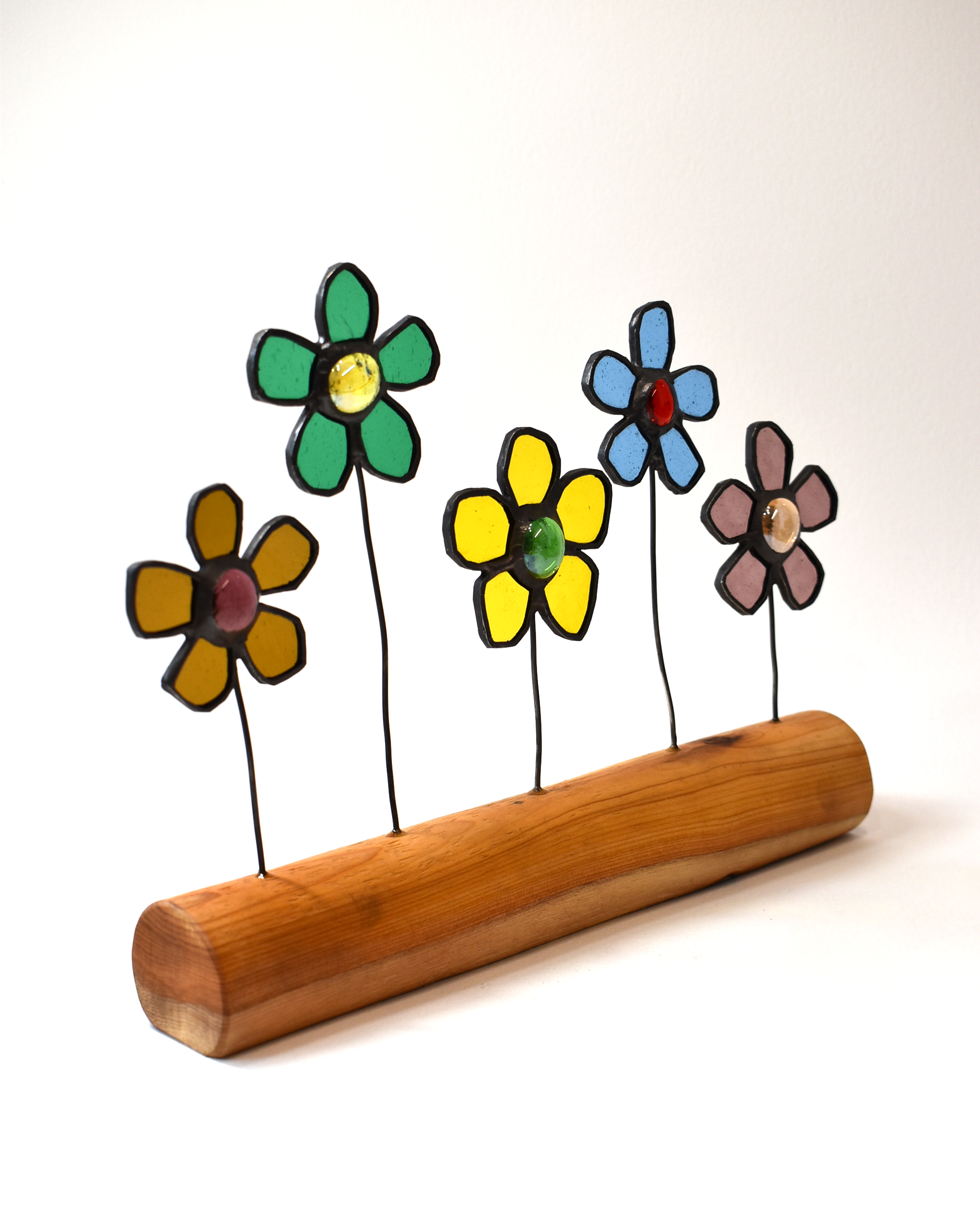 Colourful Daisies