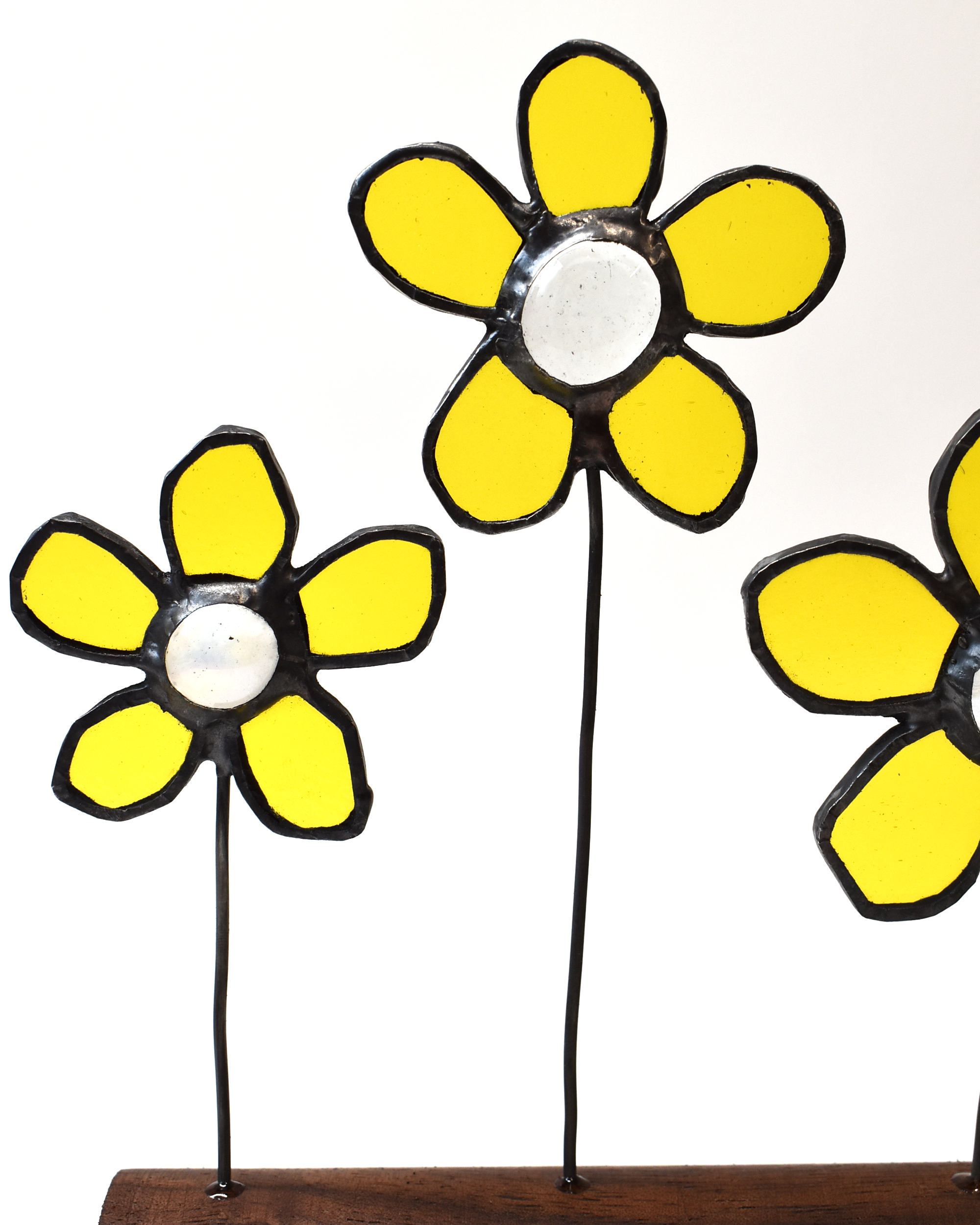 Yellow Daisies