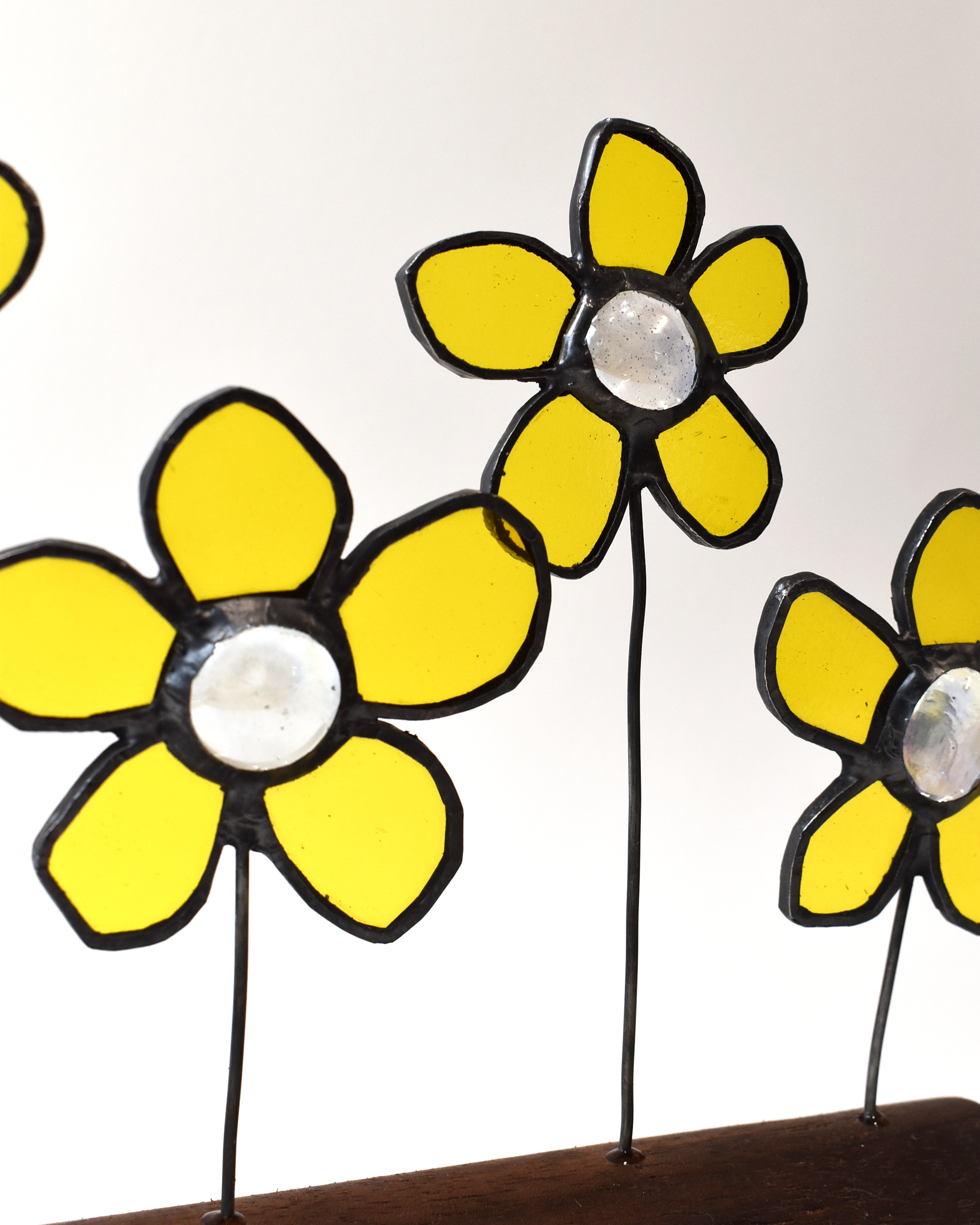 Yellow Daisies