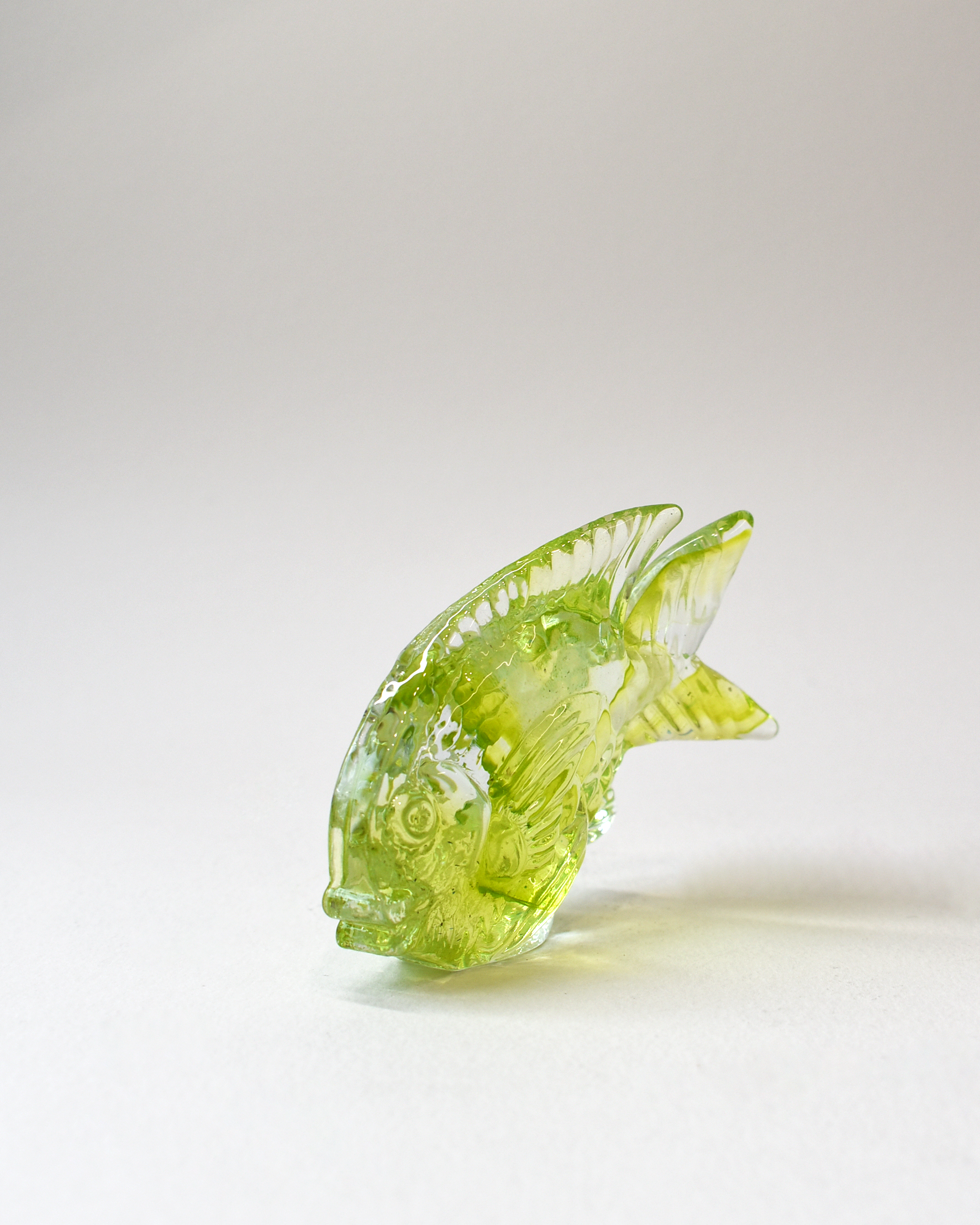 Streaky Lime Glass Fish