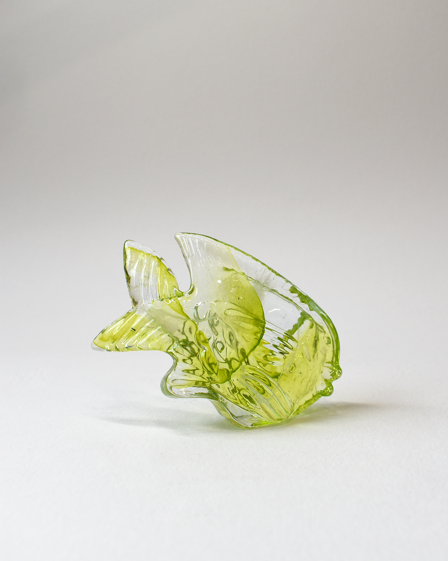 Streaky Lime Glass Fish