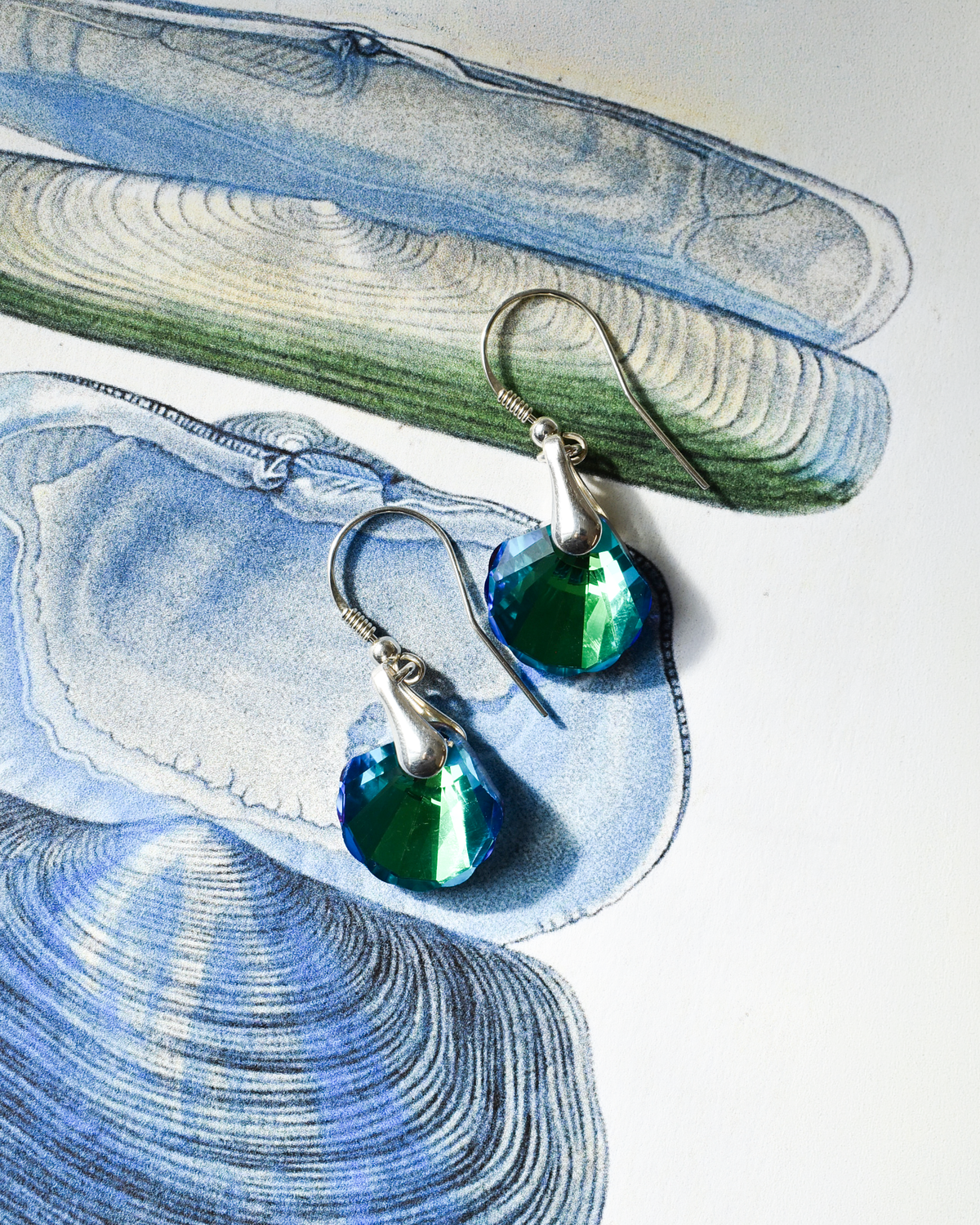 'Seashell Jewel' Crystal Drop Earrings