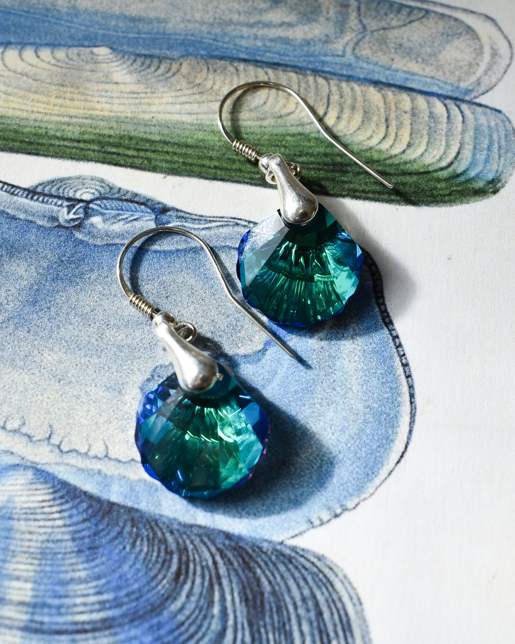'Seashell Jewel' Crystal Drop Earrings