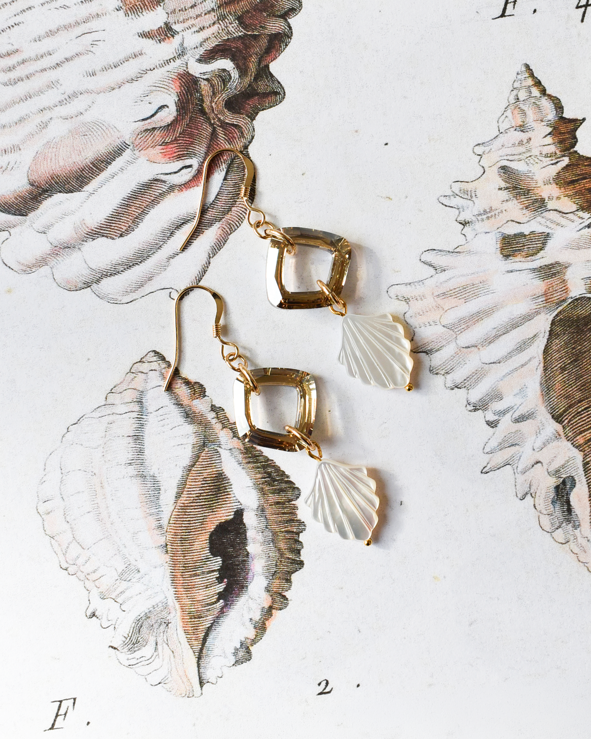 'Gilded Pearl' Seashell Crystal Drop Earrings