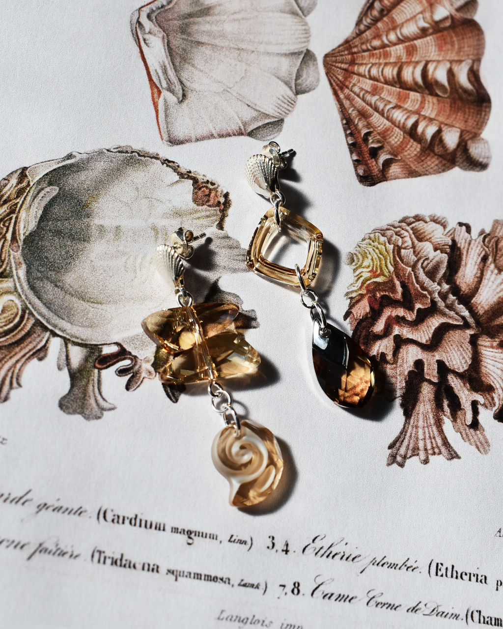 'Champagne Crystal' Asymmetric Seashell Earrings