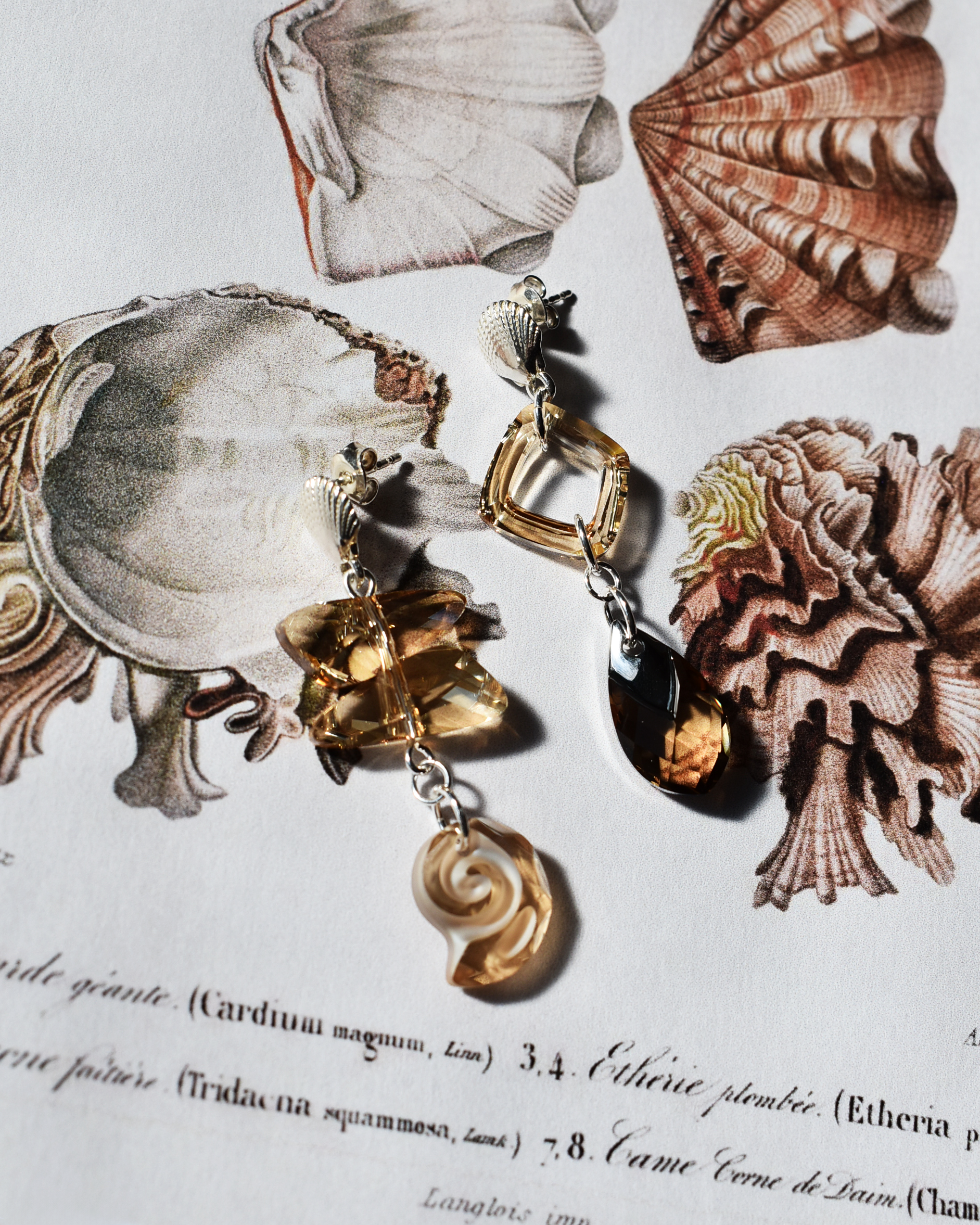 'Champagne Crystal' Asymmetric Seashell Earrings