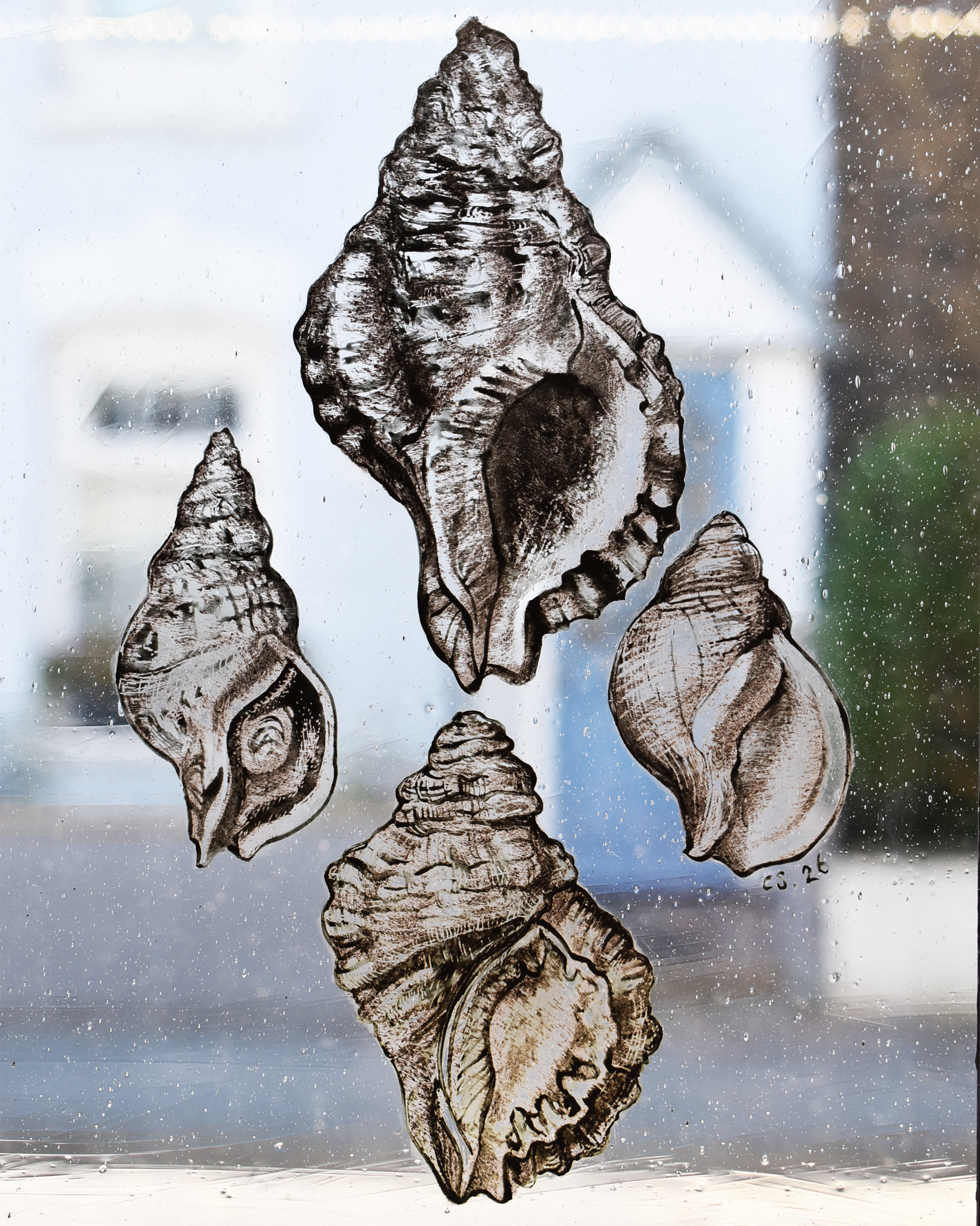 'Four Seashells' - Stained Glass Hanging Panel