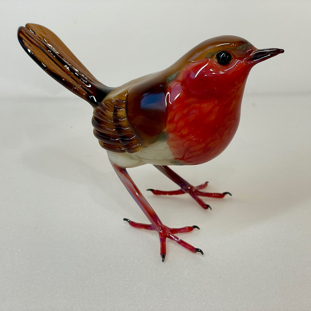 Red Breasted Glass Robin