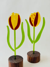 Load image into Gallery viewer, Spring Tulip
