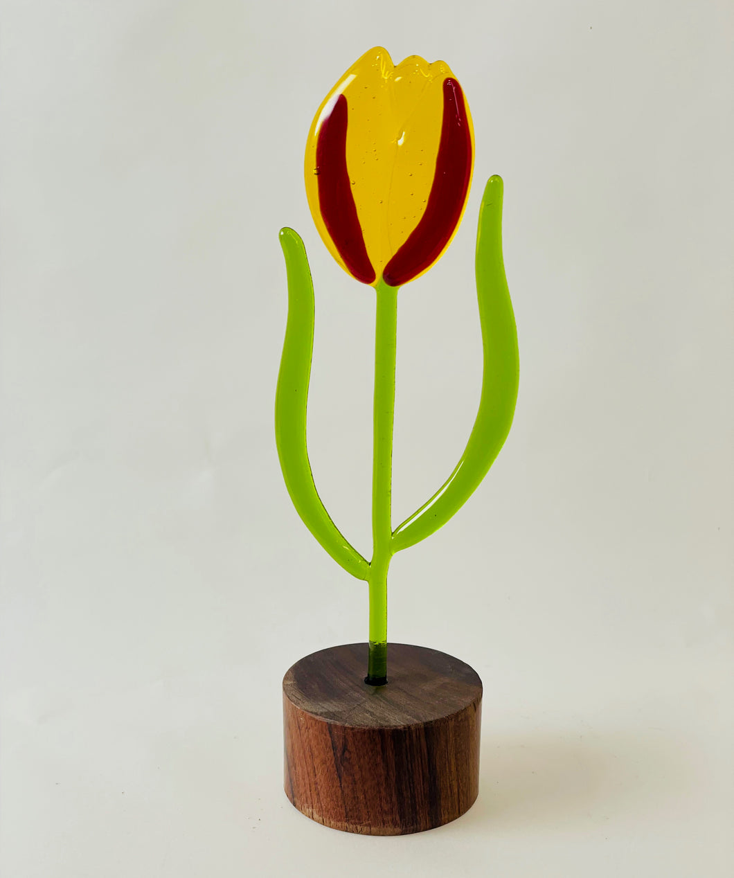 Springtime Tulip