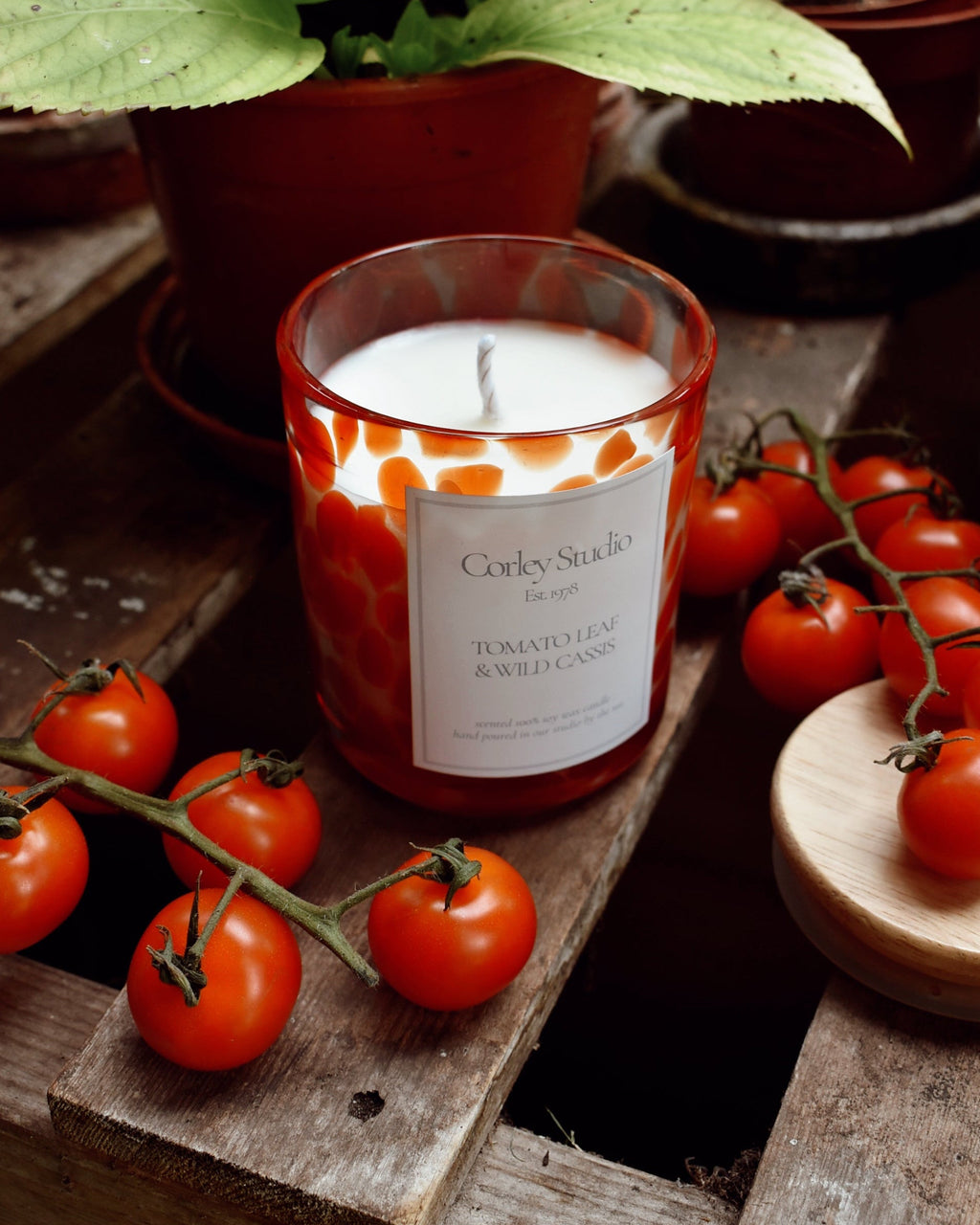 Tomato Leaf & Wild Cassis Candle (Limited Edition for Summer)