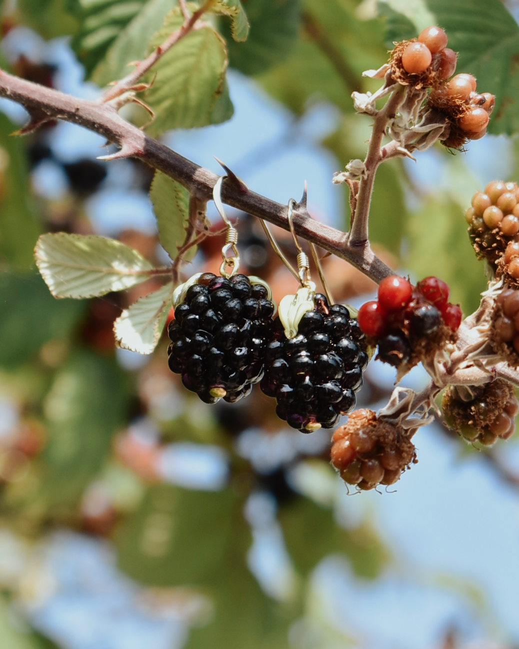 'Wild Blackberries' Elegant Drop Earrings