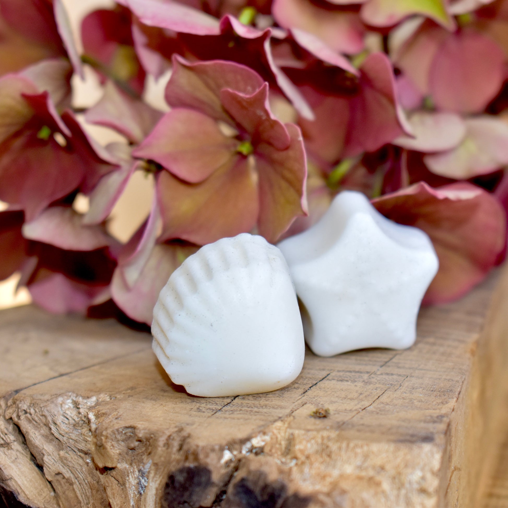 Wax Melts - Corley Studio Shop