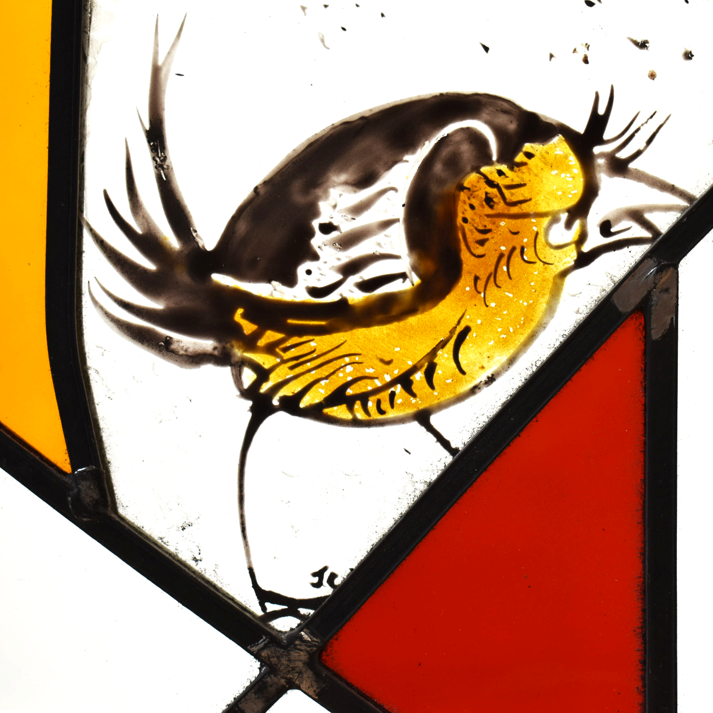 Medieval Style Wren - Stained Glass Panel