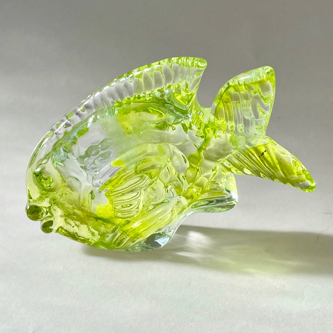 Streaky Lime Glass Fish
