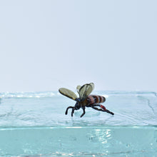 Load image into Gallery viewer, Honeybee
