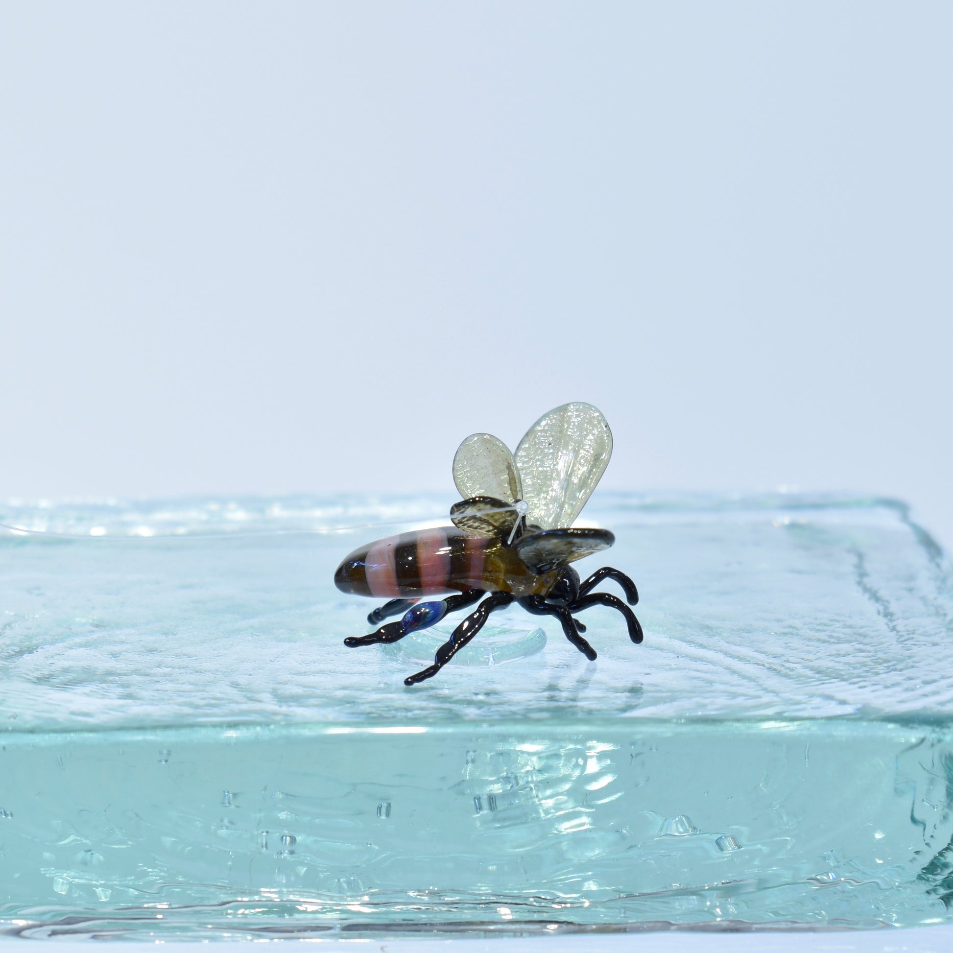 Honeybee - Corley Studio Shop